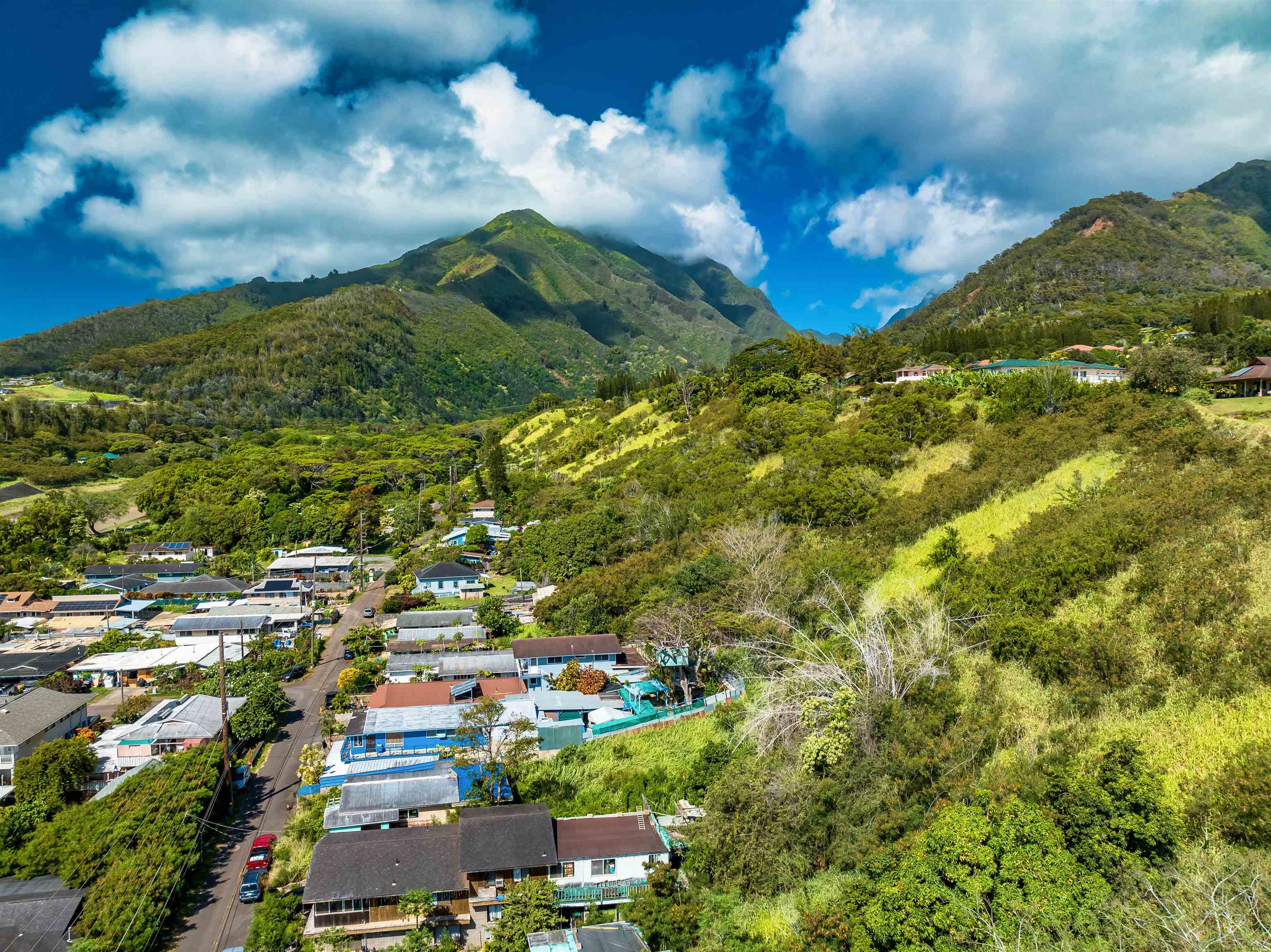 2198  Mokuhau Rd , Wailuku home - photo 11 of 14
