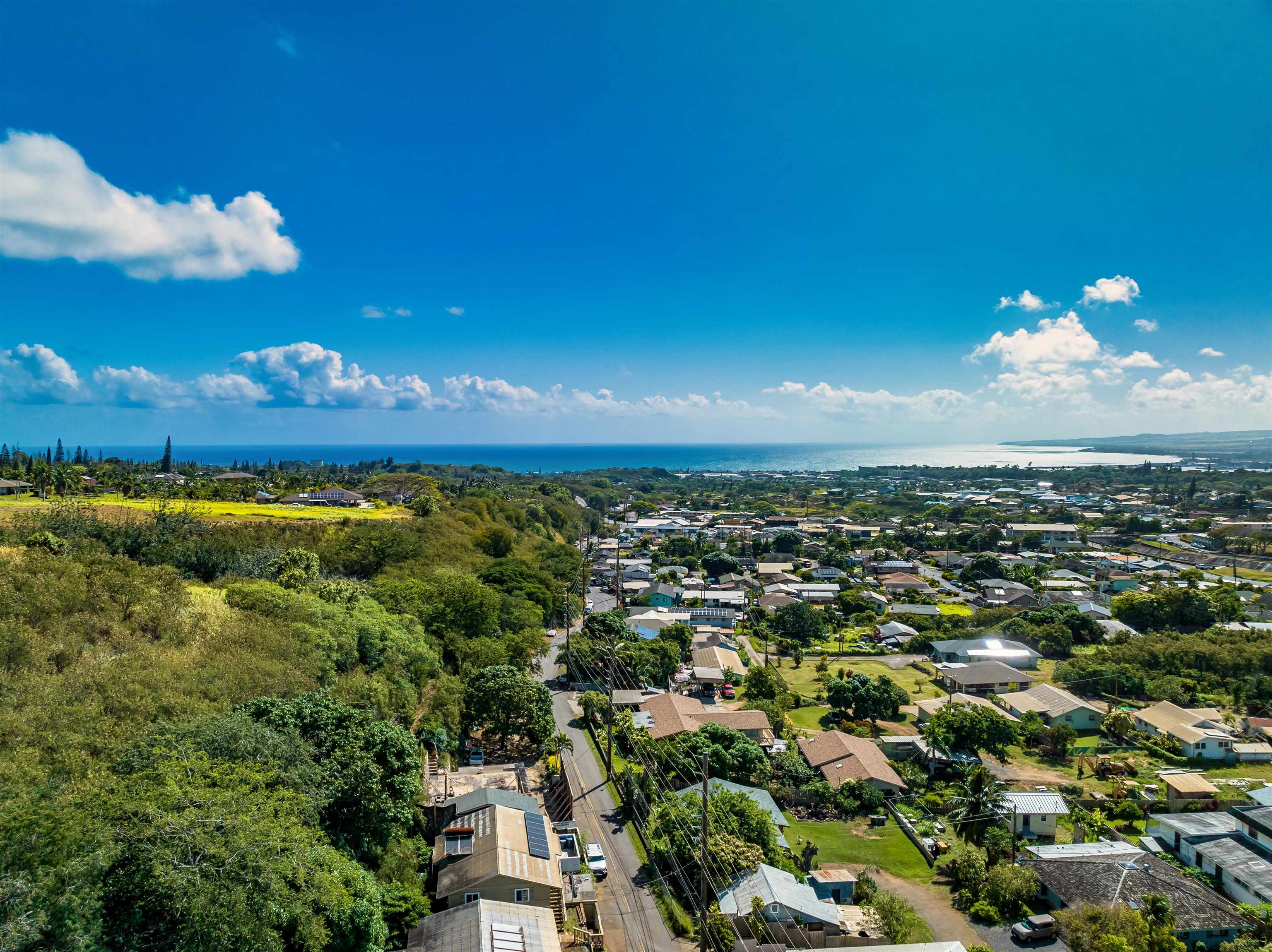 2198  Mokuhau Rd , Wailuku home - photo 12 of 14