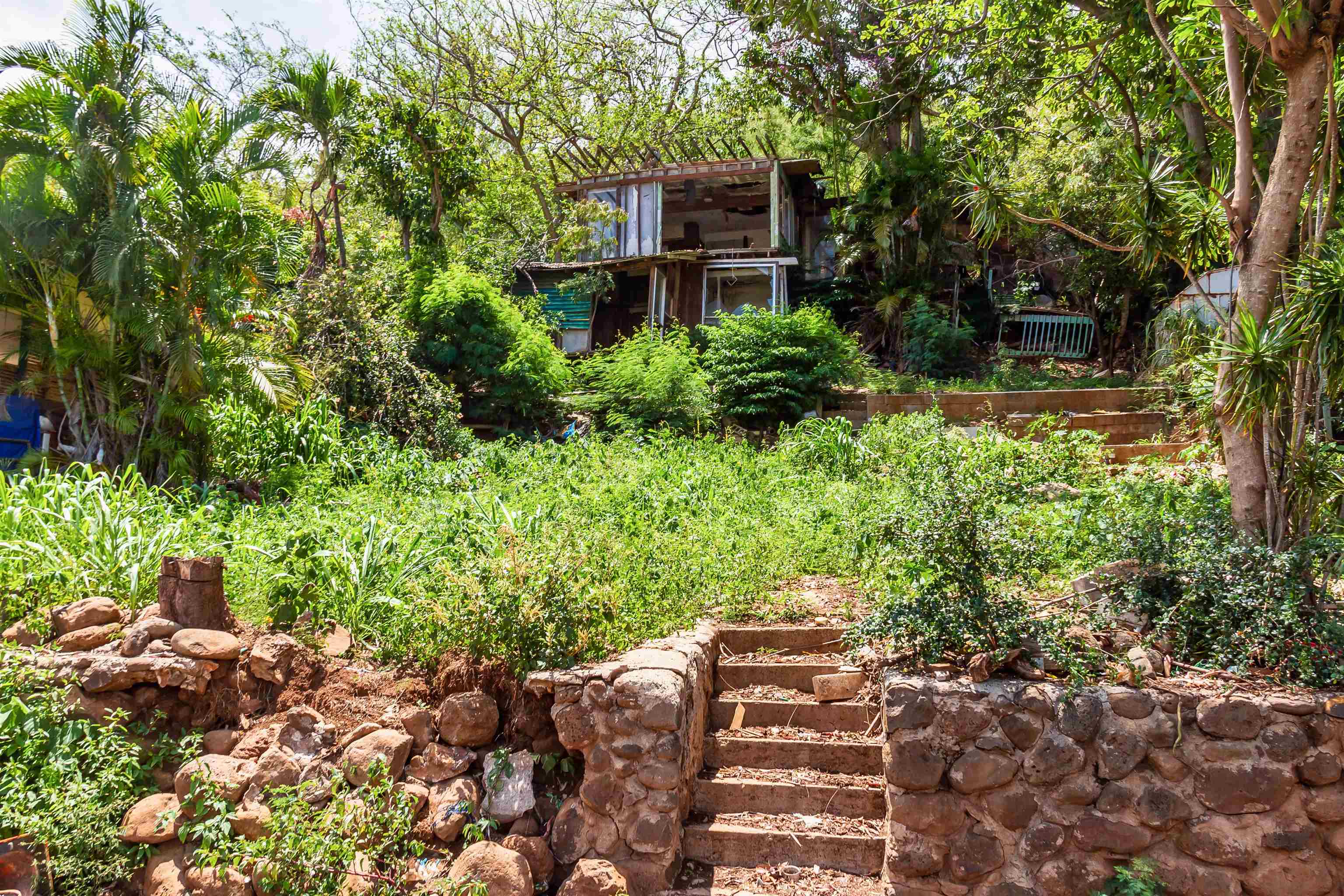 2198  Mokuhau Rd , Wailuku home - photo 13 of 14
