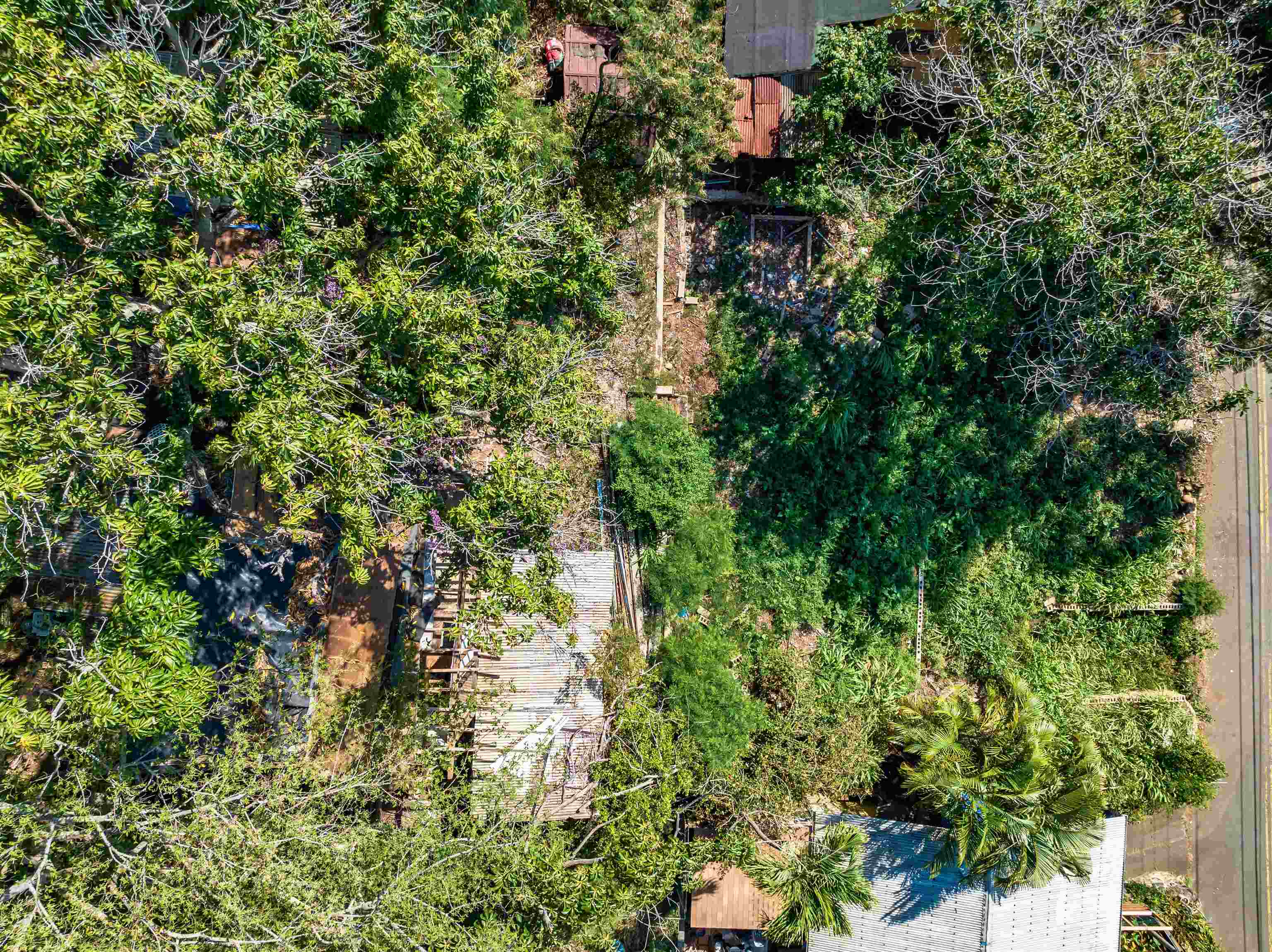 2198  Mokuhau Rd , Wailuku home - photo 5 of 14