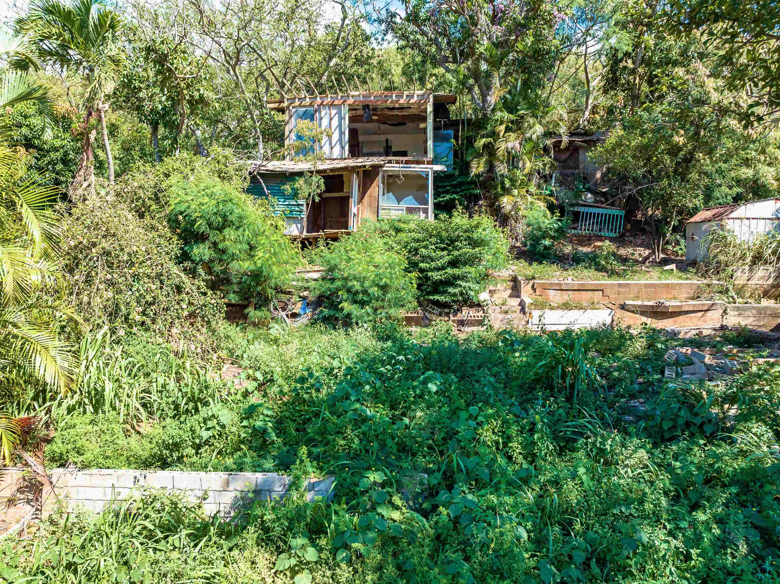 2198  Mokuhau Rd , Wailuku home - photo 6 of 14