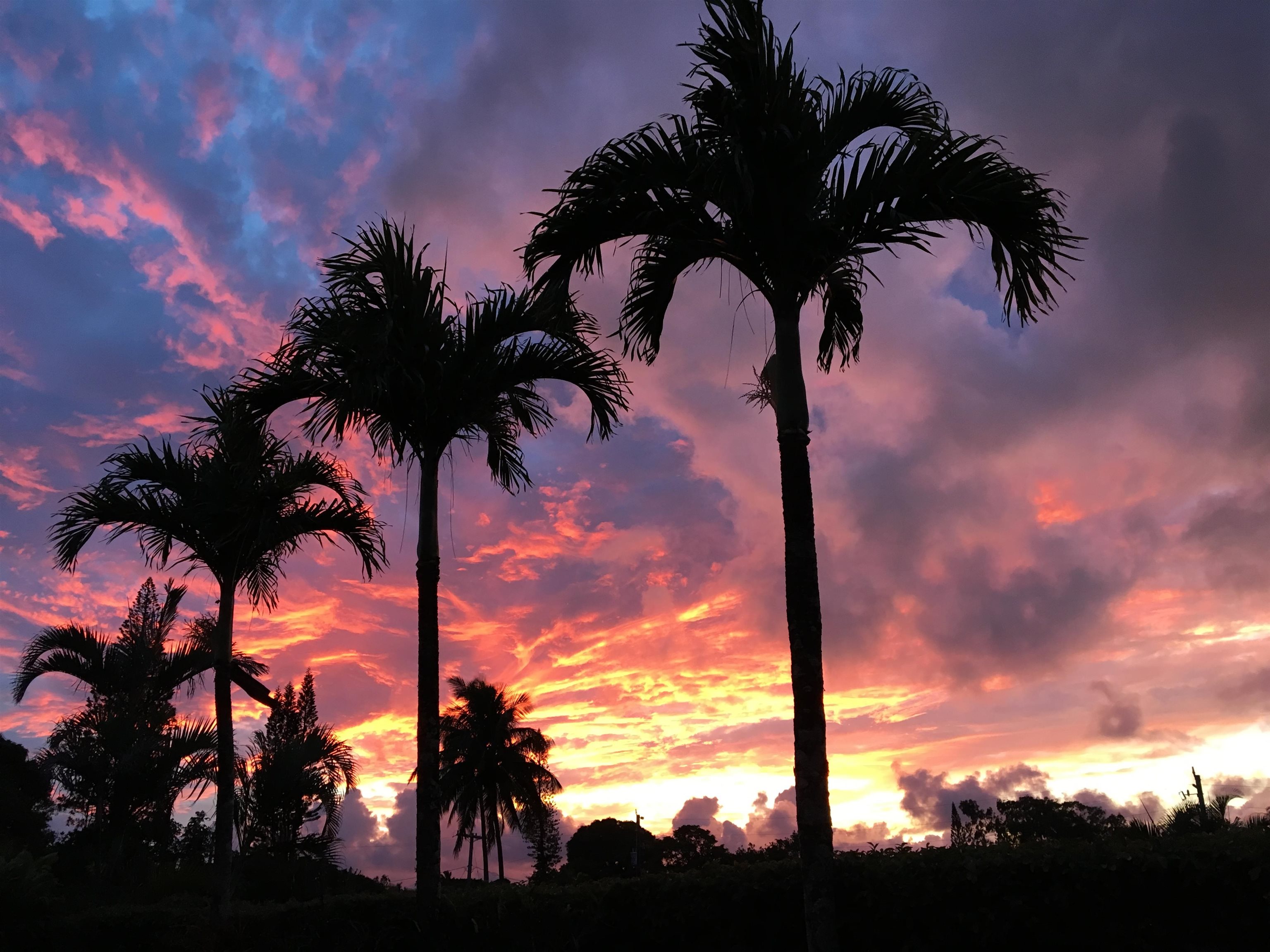 22  Hale Lio Pl Hale Lio Place, Haiku home - photo 45 of 50