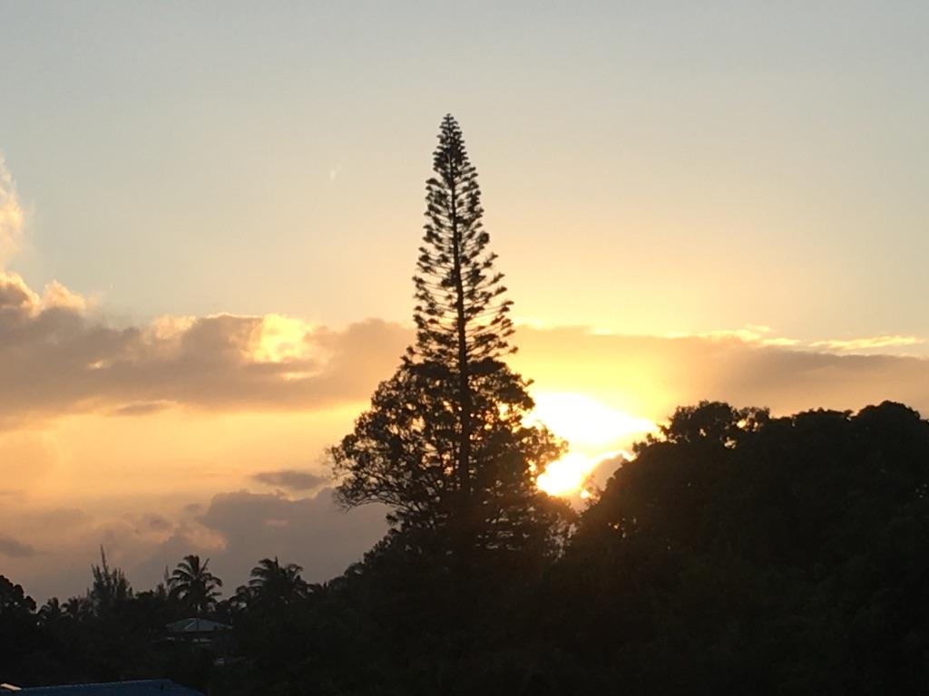 22  Hale Lio Pl Hale Lio Place, Haiku home - photo 46 of 50