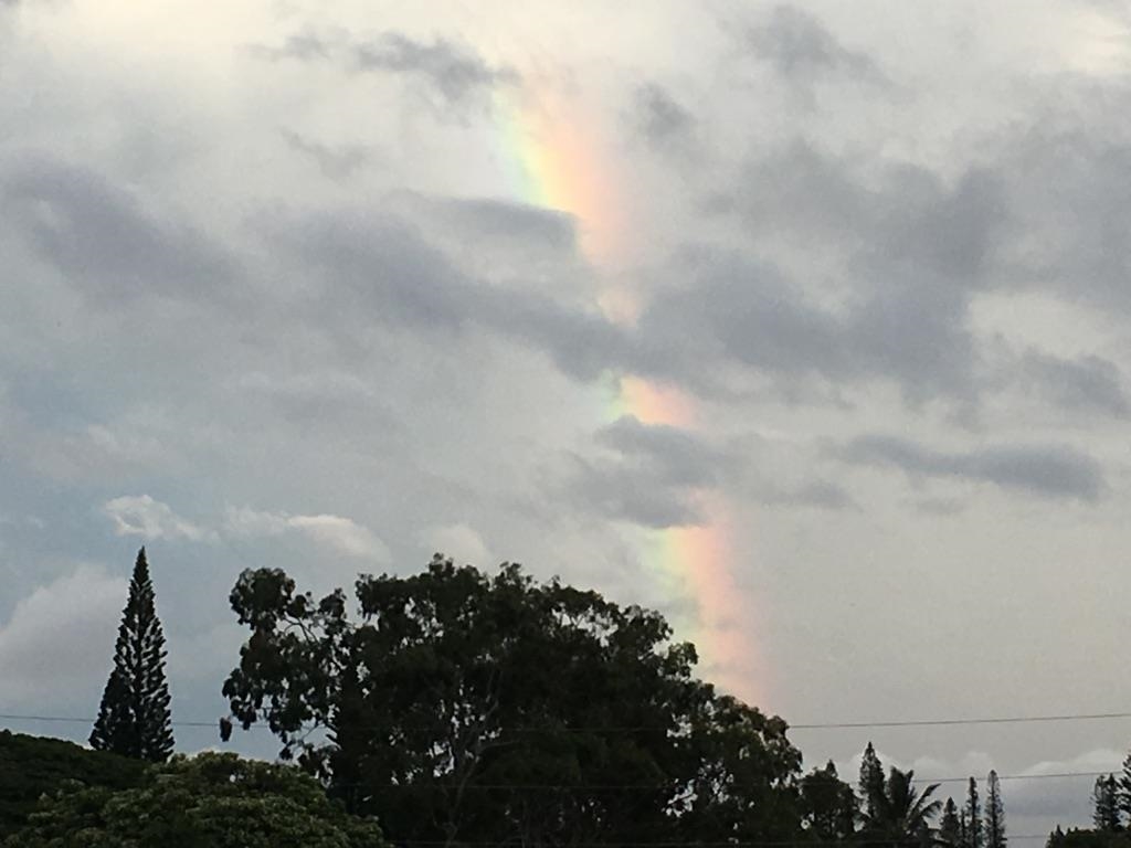 22  Hale Lio Pl Hale Lio Place, Haiku home - photo 48 of 50