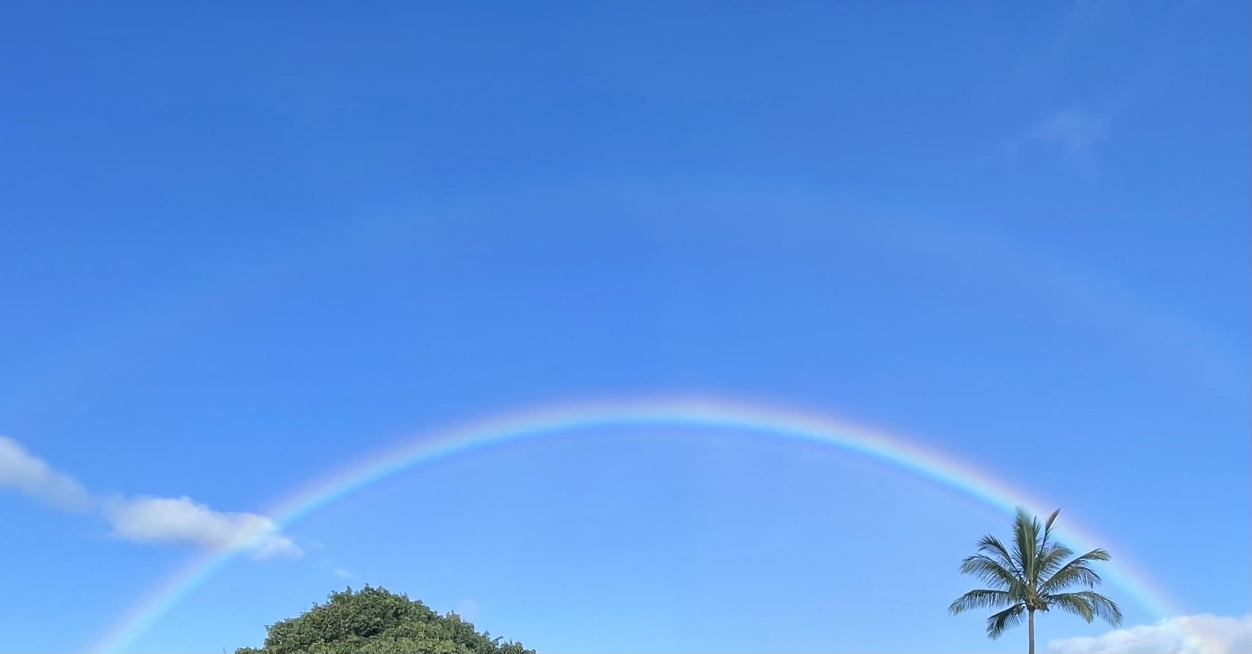 22  Hale Lio Pl Hale Lio Place, Haiku home - photo 49 of 50