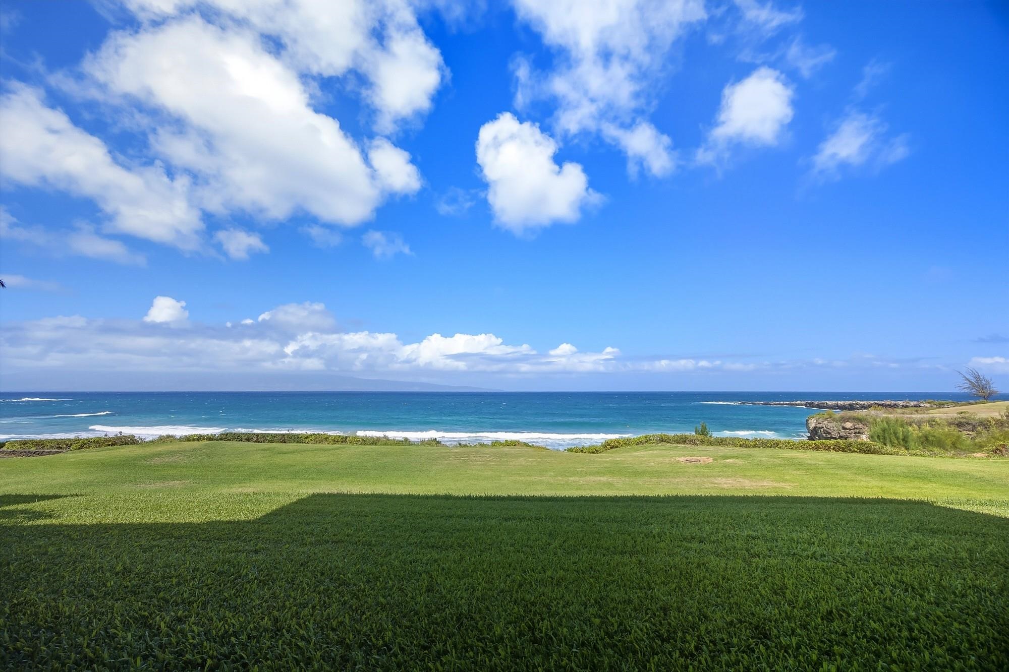 Kapalua Ironwoods condo # 22, Lahaina, Hawaii - photo 41 of 50