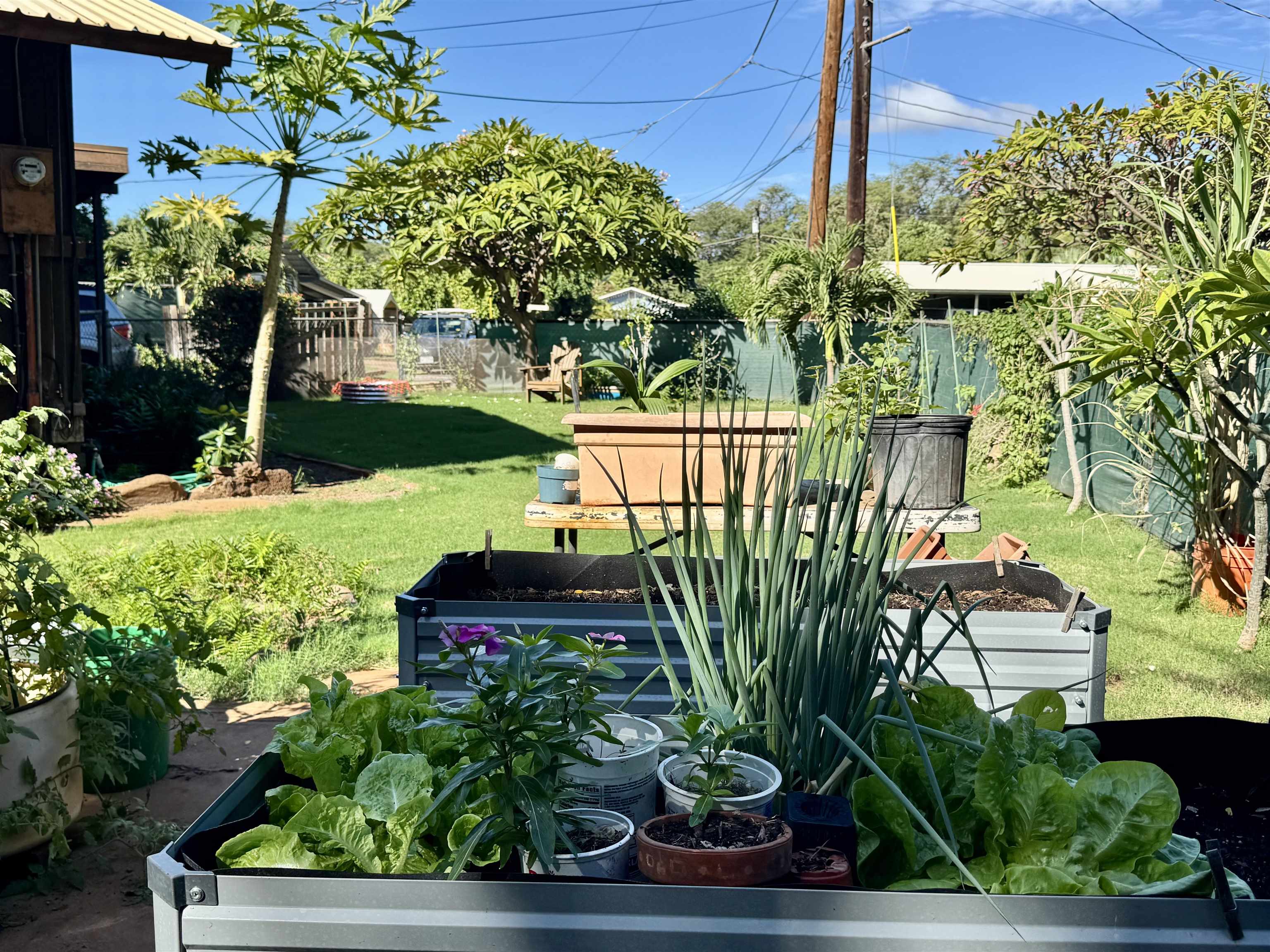 22  Kawela Way , Molokai home - photo 6 of 44