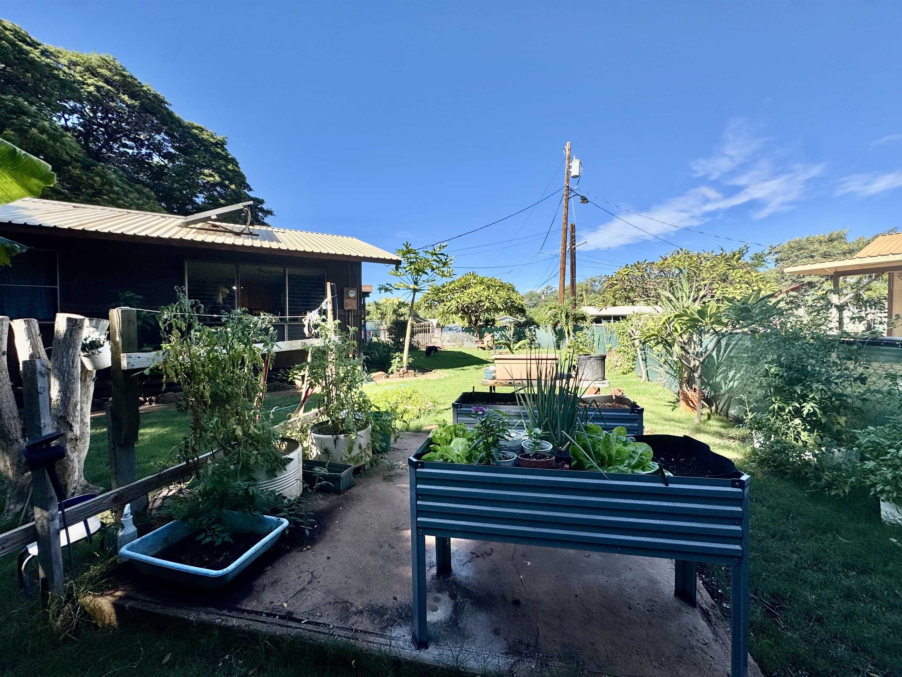 22  Kawela Way , Molokai home - photo 7 of 44