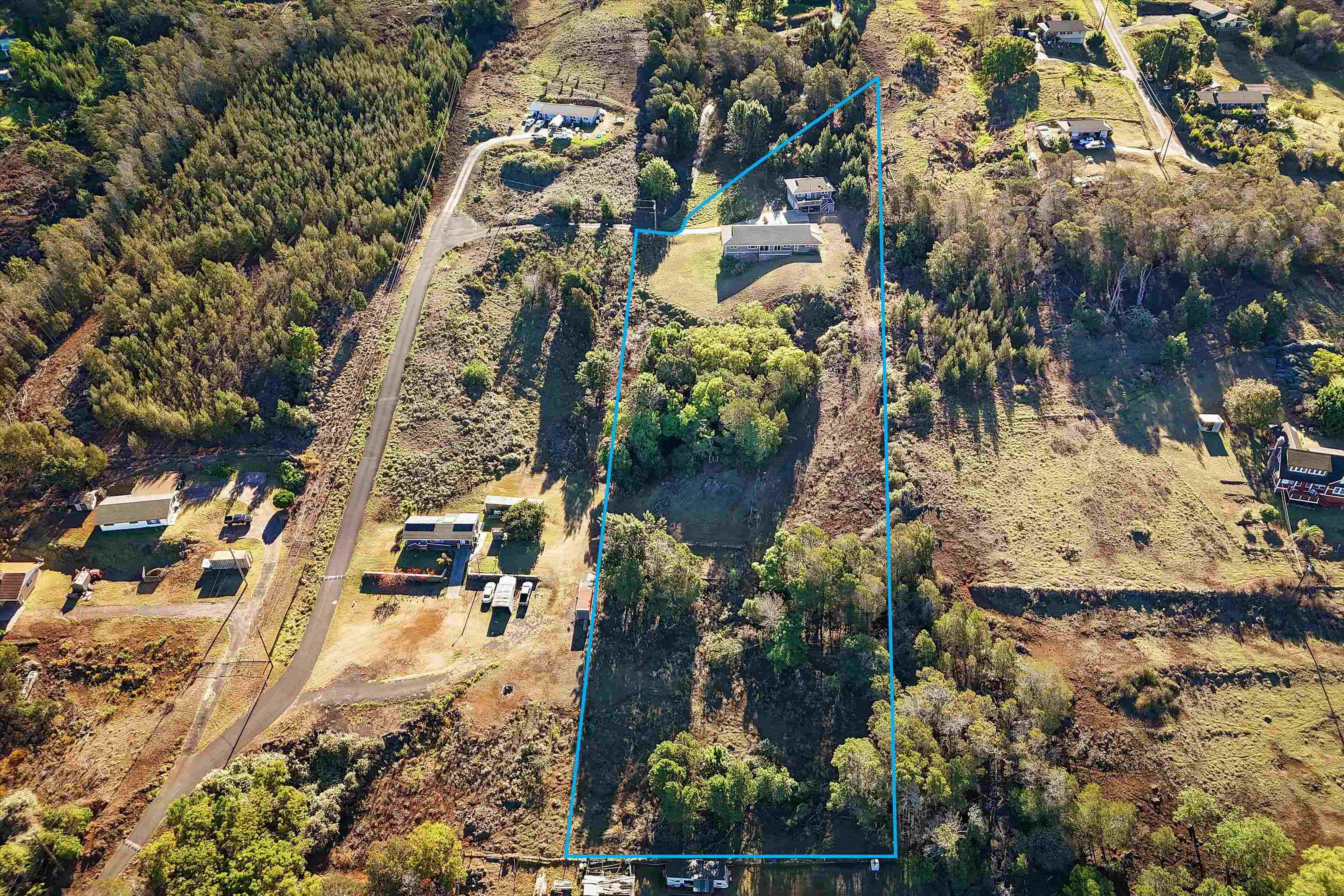 22  Malia Iokepa Pl , Kula/Ulupalakua/Kanaio home - photo 45 of 50