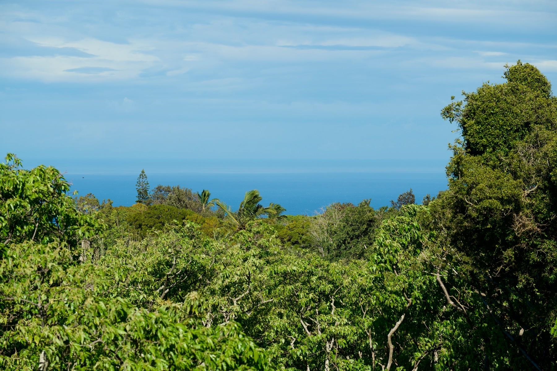 22  Ohaoha Pl Maunaolu, Makawao/Olinda/Haliimaile home - photo 16 of 31
