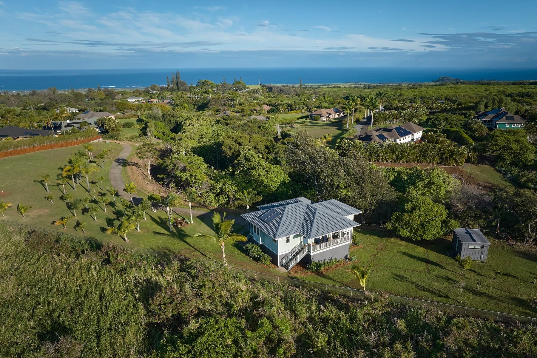 22  Ohaoha Pl Maunaolu, Makawao/Olinda/Haliimaile home - photo 29 of 31