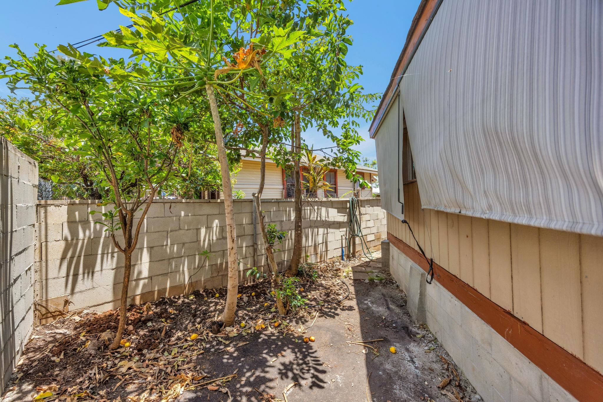 220  Hala Pl , Wailuku home - photo 39 of 46