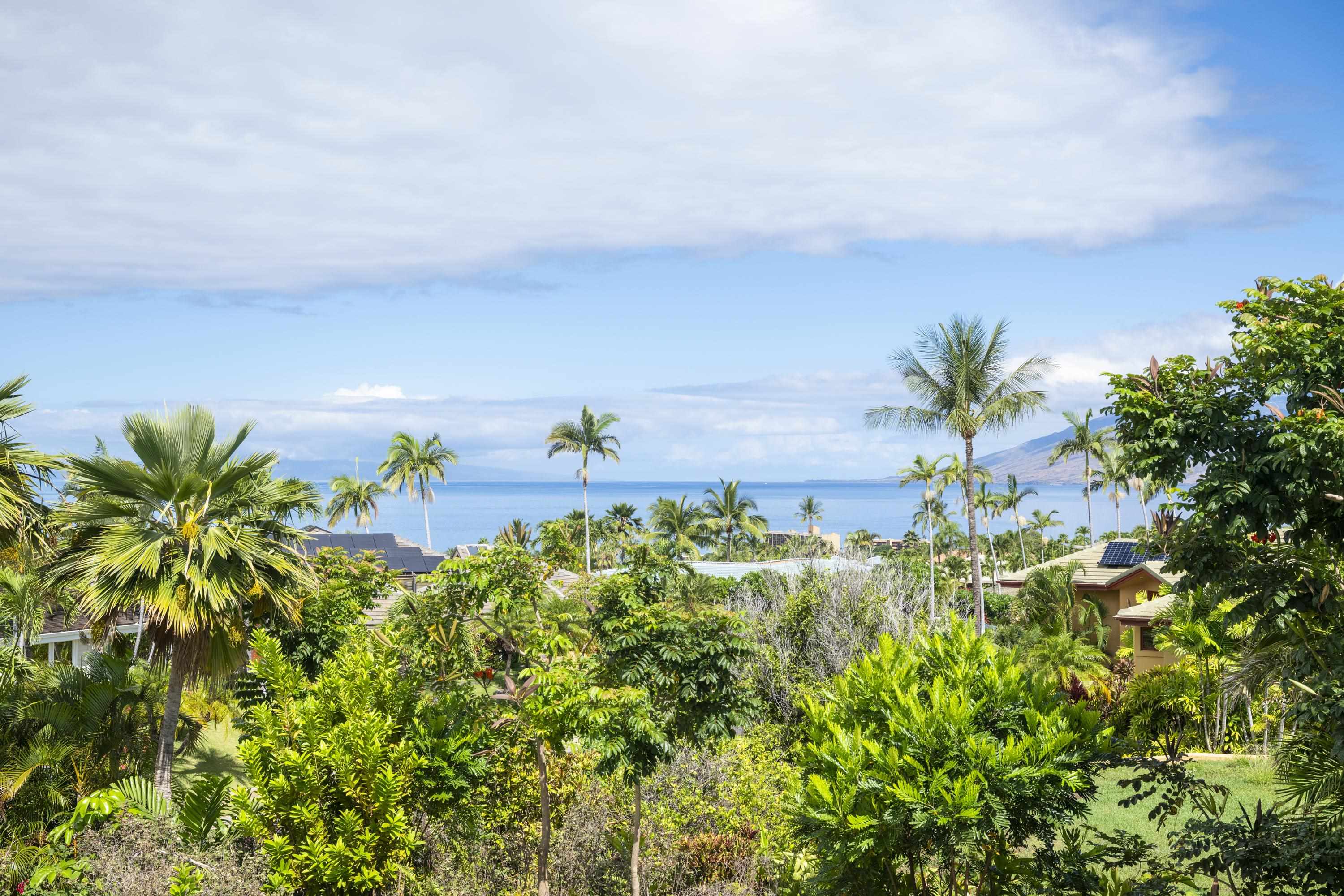 221  Ikea Kai Pl , Wailea/Makena home - photo 6 of 49
