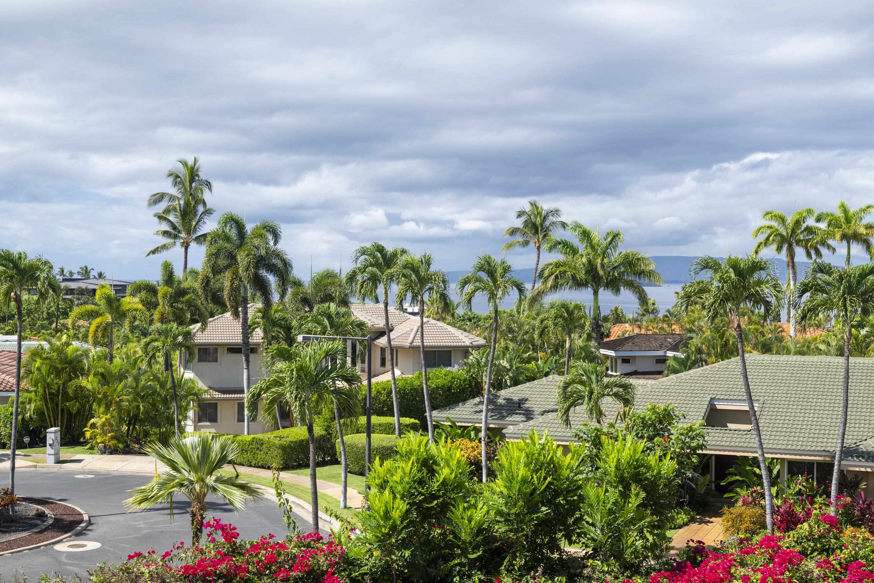 221  Ikea Kai Pl , Wailea/Makena home - photo 8 of 49