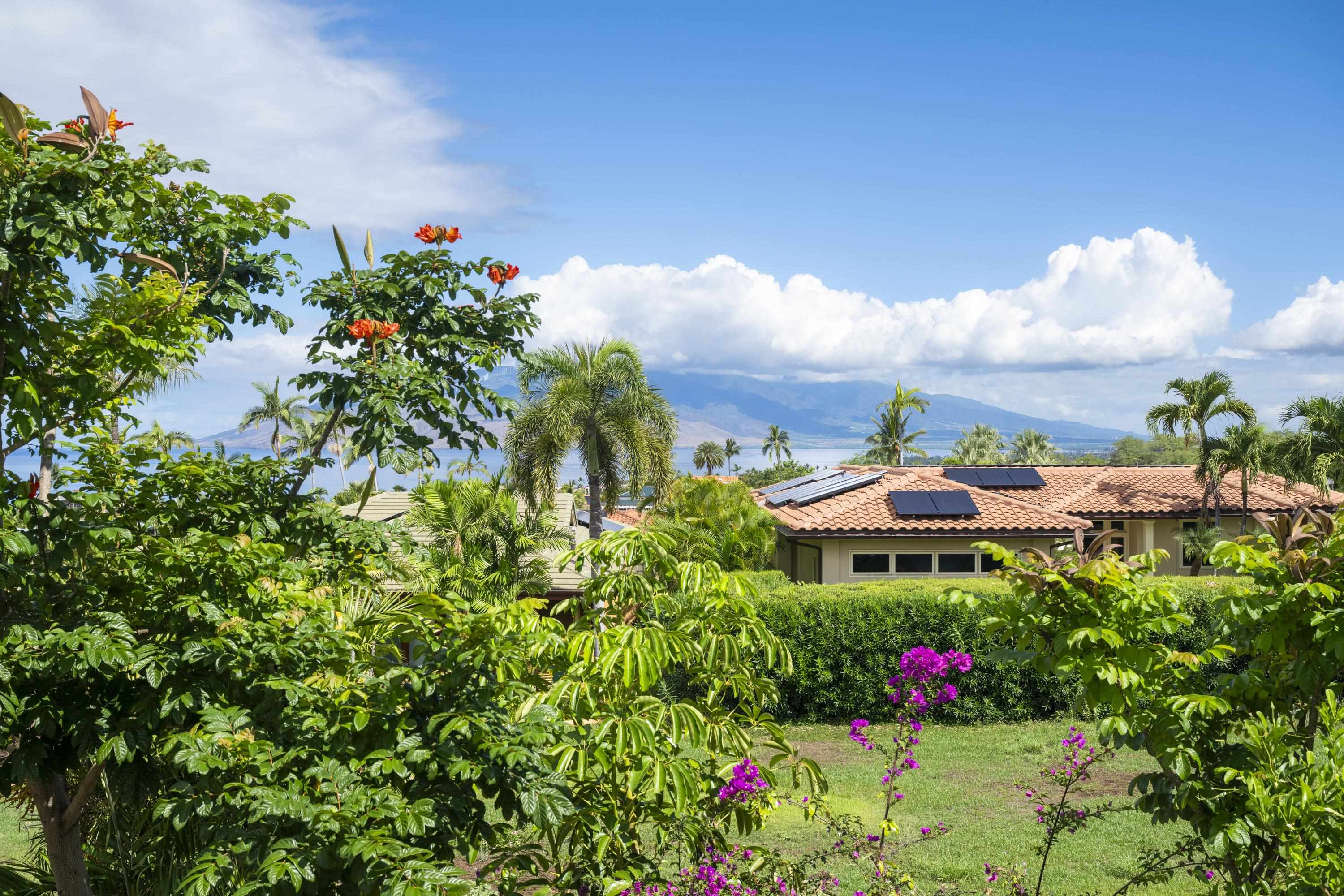 221  Ikea Kai Pl , Wailea/Makena home - photo 9 of 49