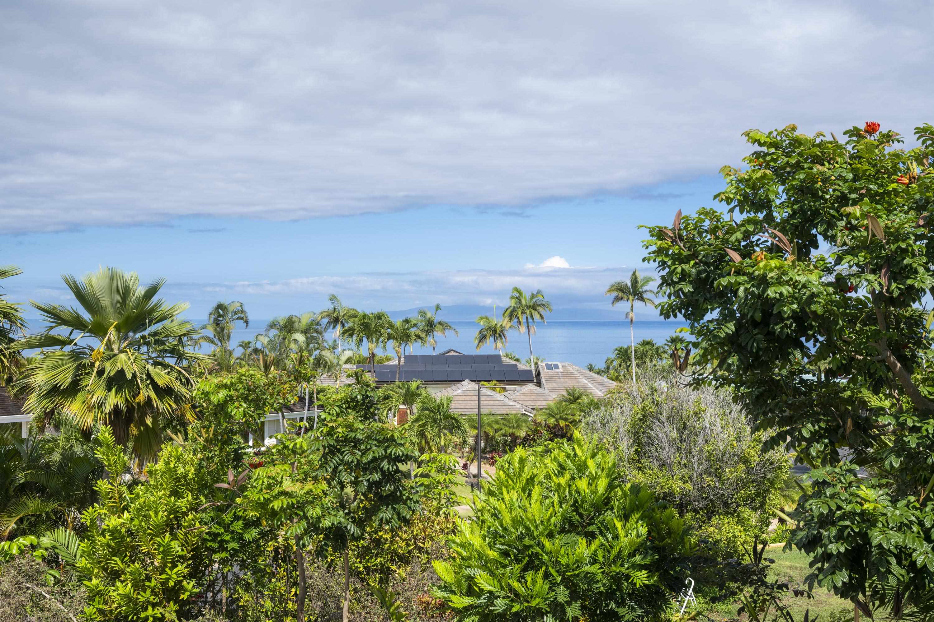 221  Ikea Kai Pl , Wailea/Makena home - photo 10 of 49