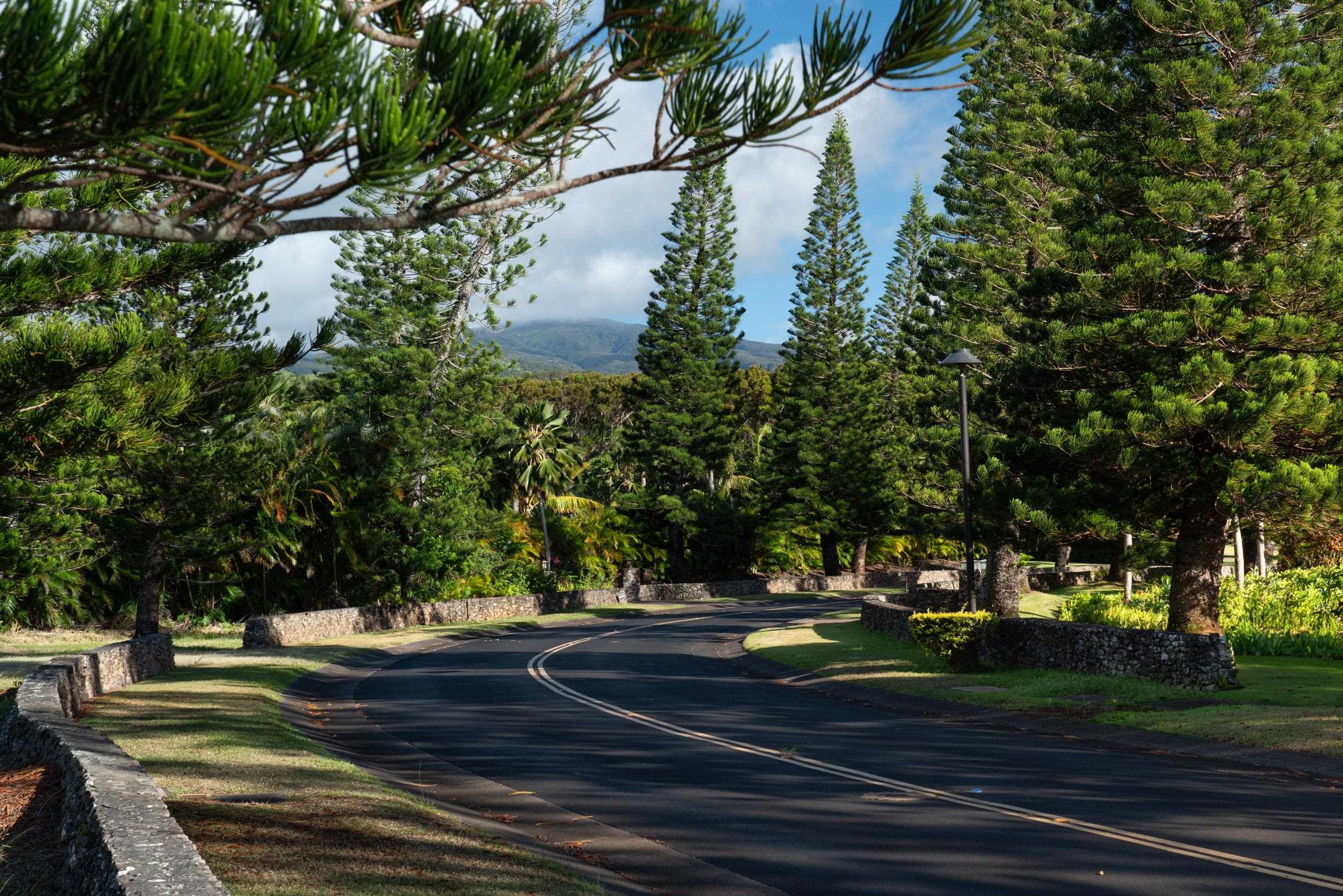 221 Plantation Club Dr  Lahaina, Hi vacant land for sale - photo 2 of 35