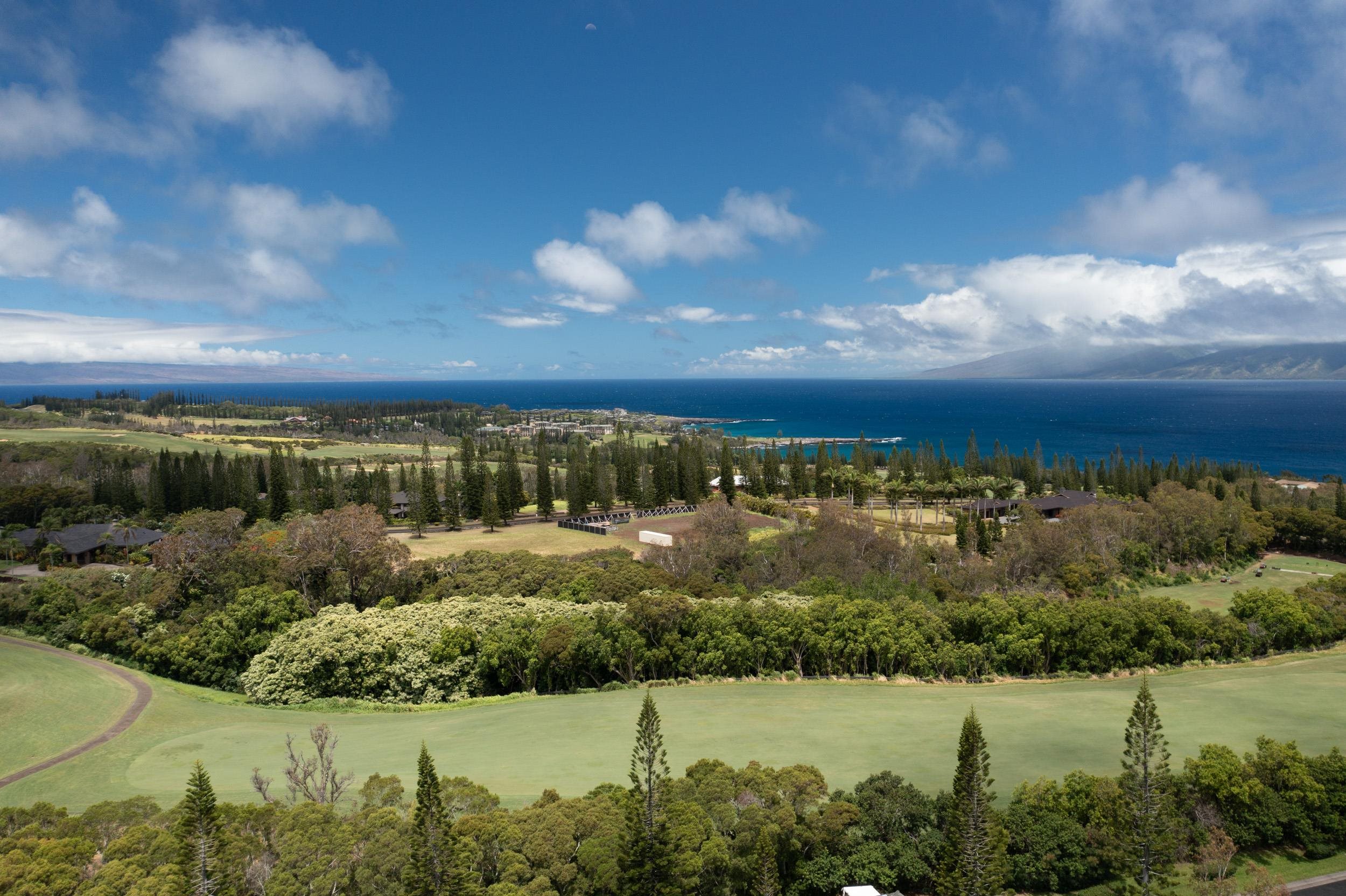 221 Plantation Club Dr  Lahaina, Hi vacant land for sale - photo 2 of 35