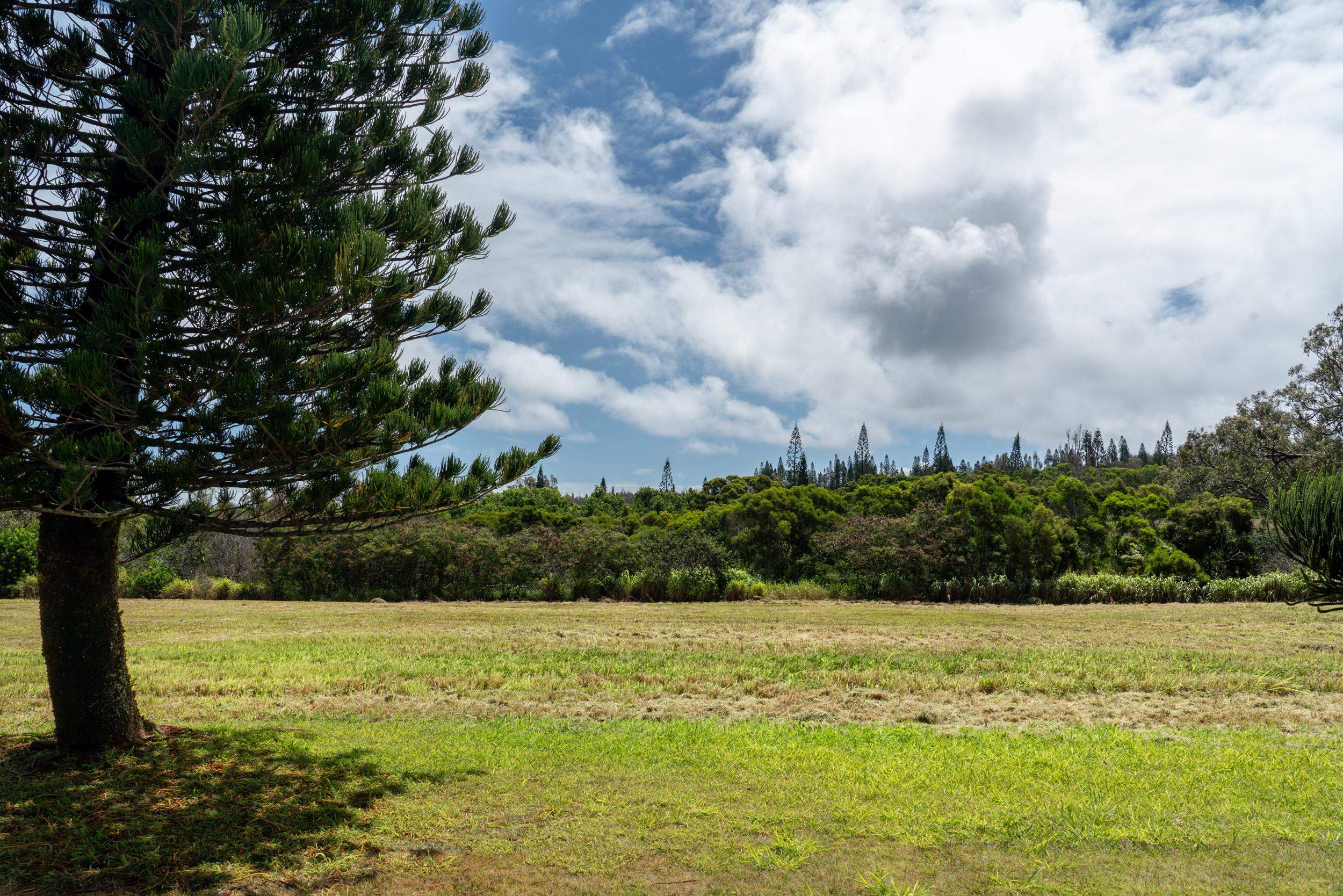 221 Plantation Club Dr  Lahaina, Hi vacant land for sale - photo 12 of 35