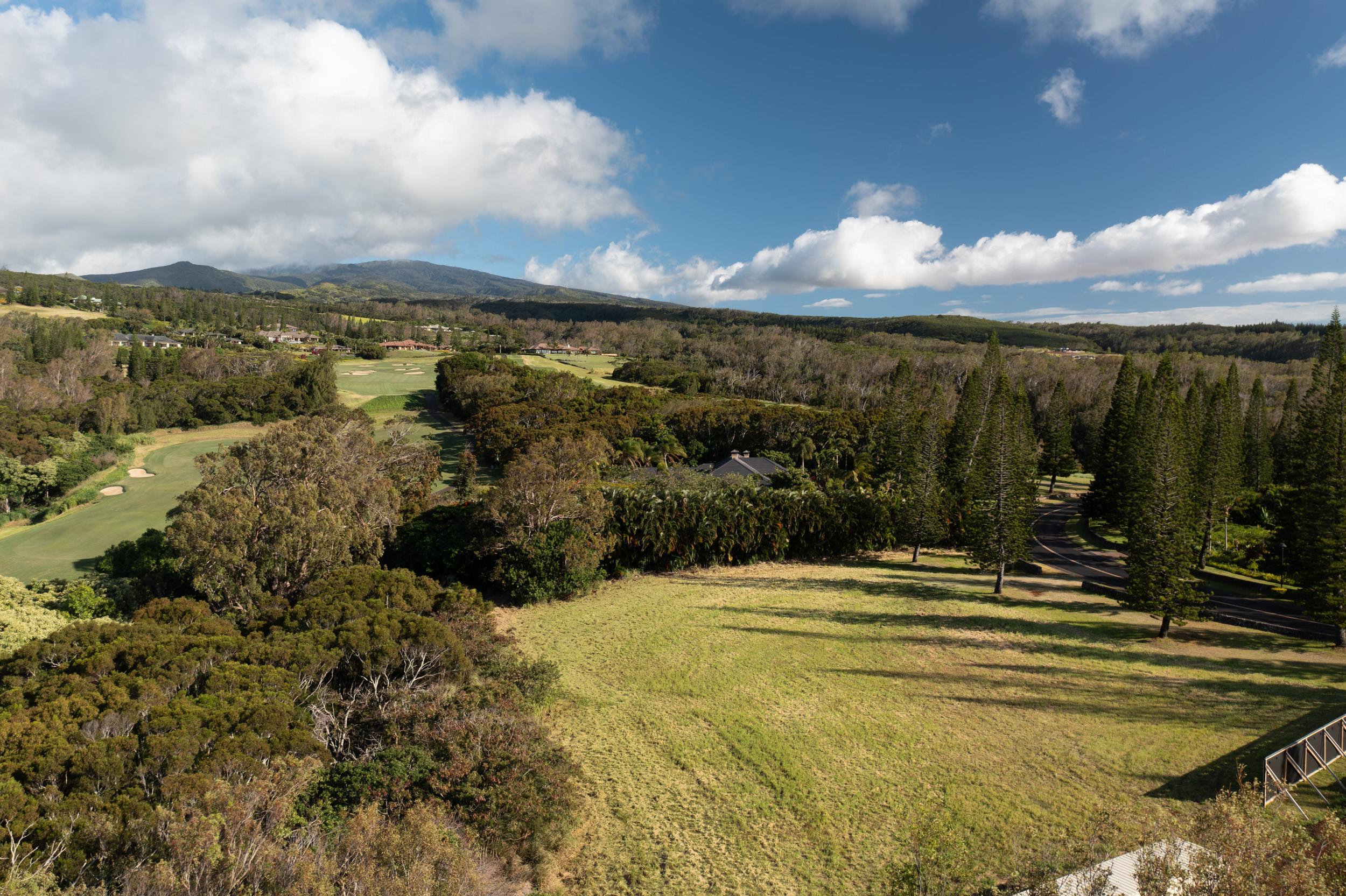 221 Plantation Club Dr  Lahaina, Hi vacant land for sale - photo 15 of 35