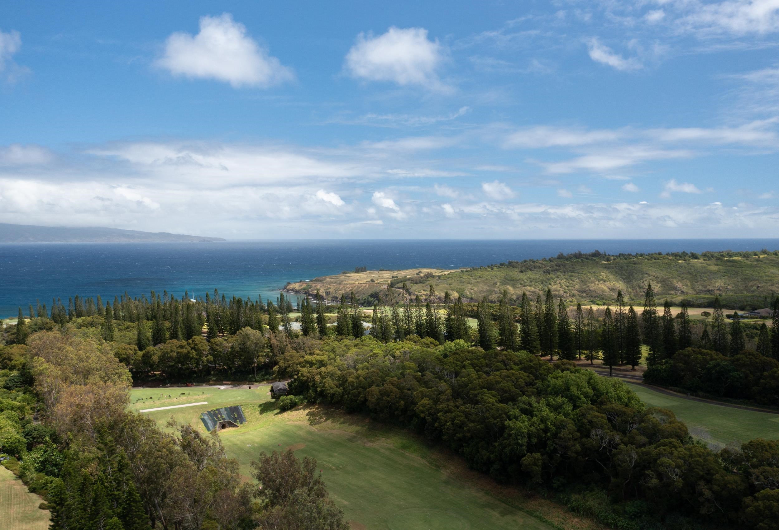 221 Plantation Club Dr  Lahaina, Hi vacant land for sale - photo 16 of 35