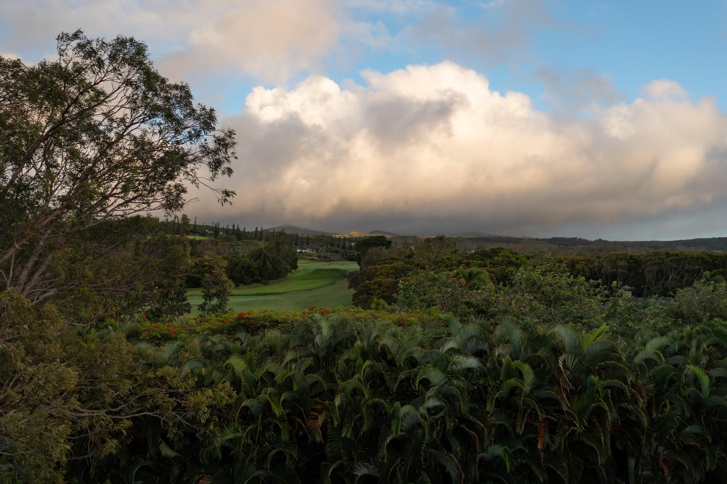 221 Plantation Club Dr  Lahaina, Hi vacant land for sale - photo 19 of 35