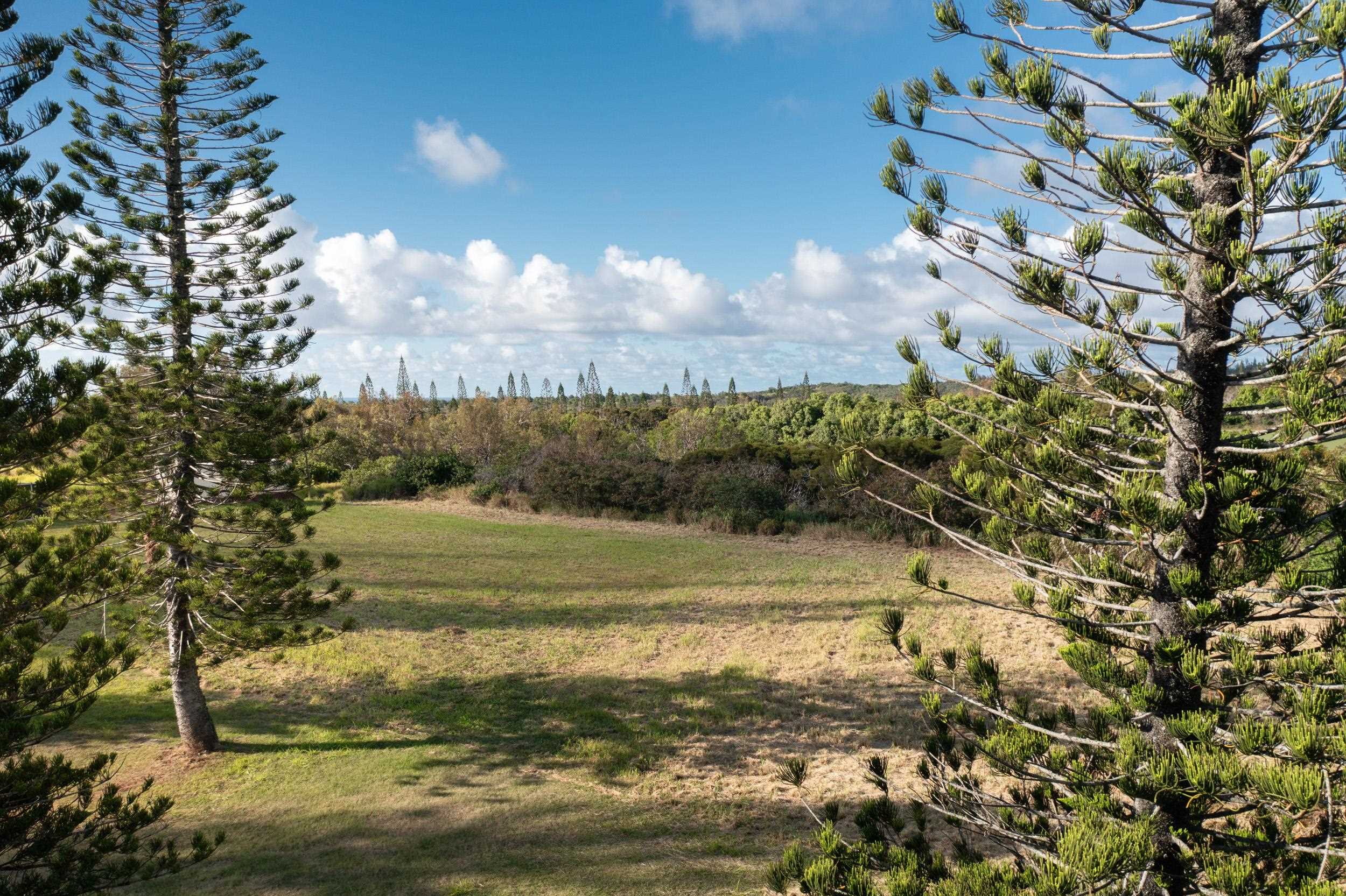 221 Plantation Club Dr  Lahaina, Hi vacant land for sale - photo 22 of 35