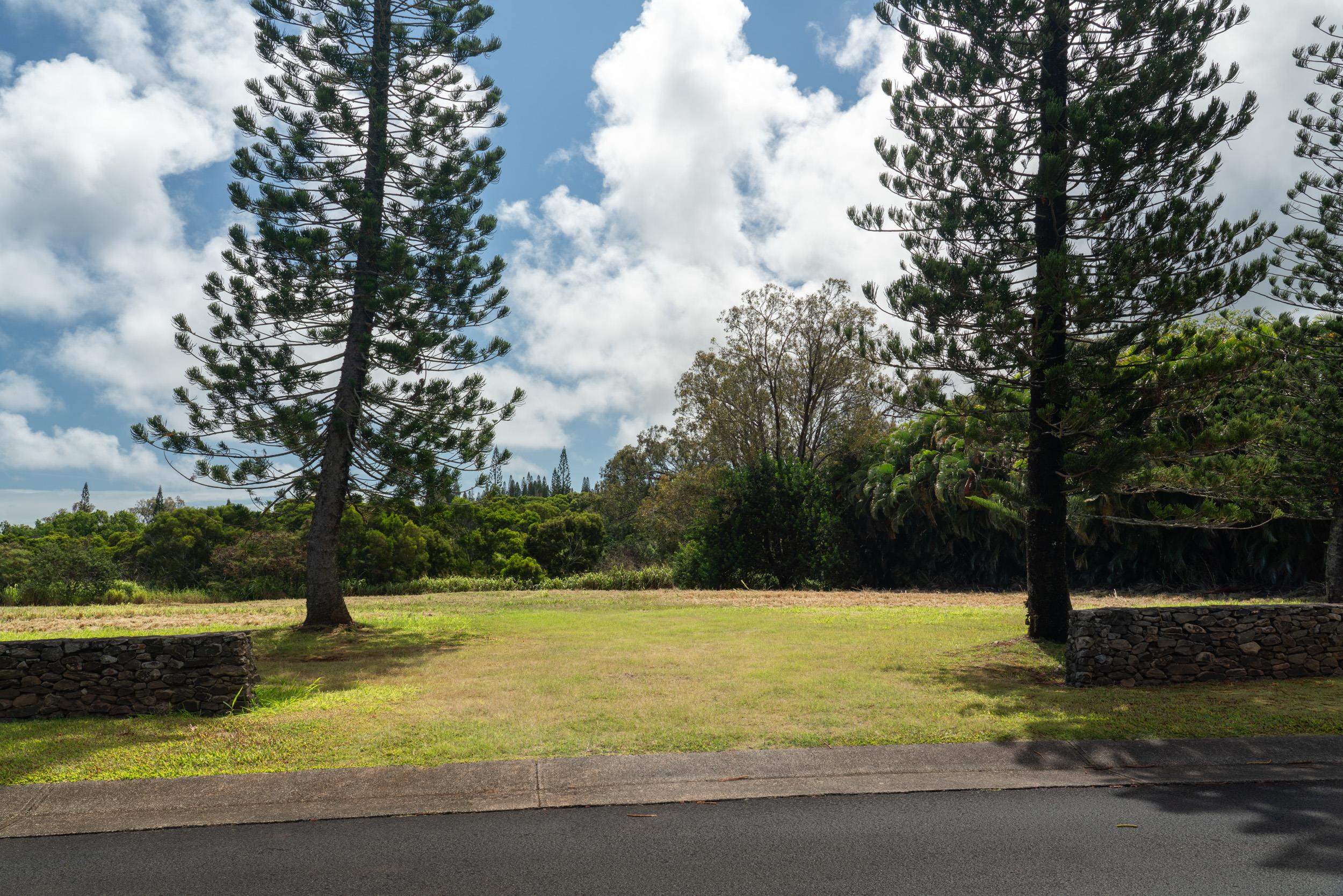 221 Plantation Club Dr  Lahaina, Hi vacant land for sale - photo 25 of 35