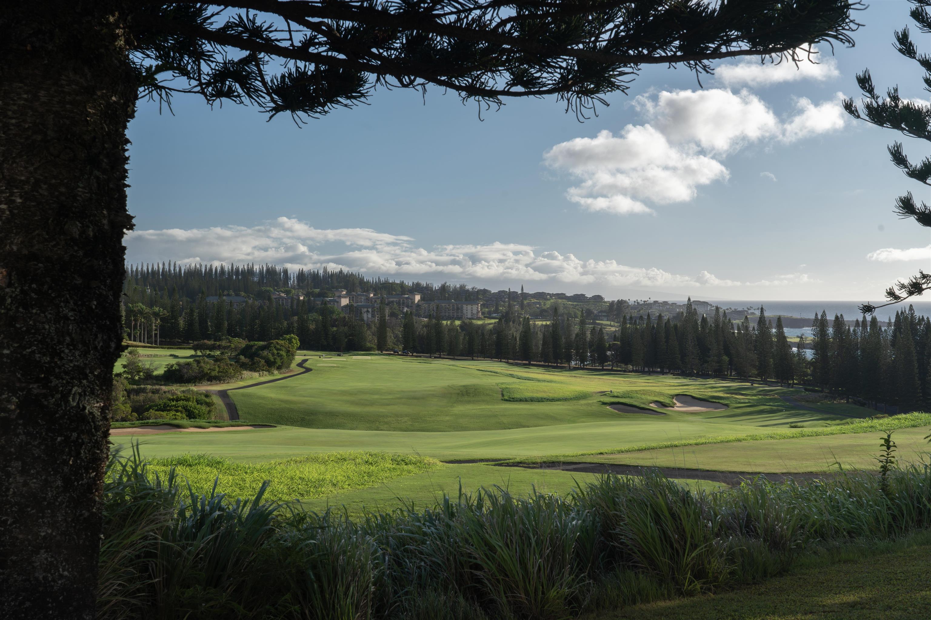 221 Plantation Club Dr  Lahaina, Hi vacant land for sale - photo 26 of 35