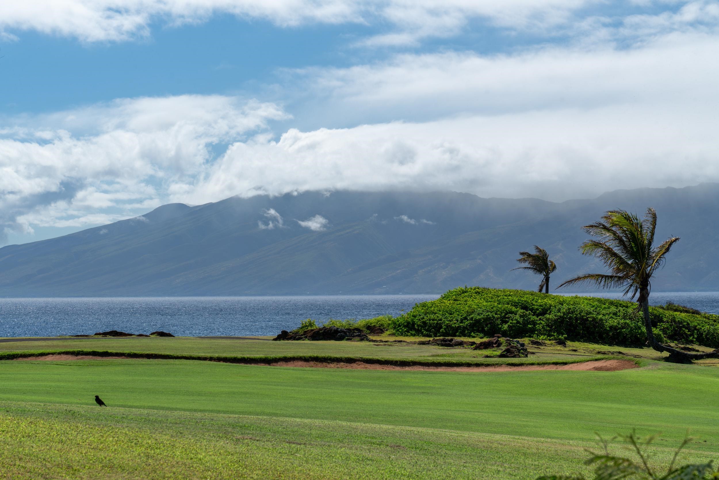 221 Plantation Club Dr  Lahaina, Hi vacant land for sale - photo 29 of 35