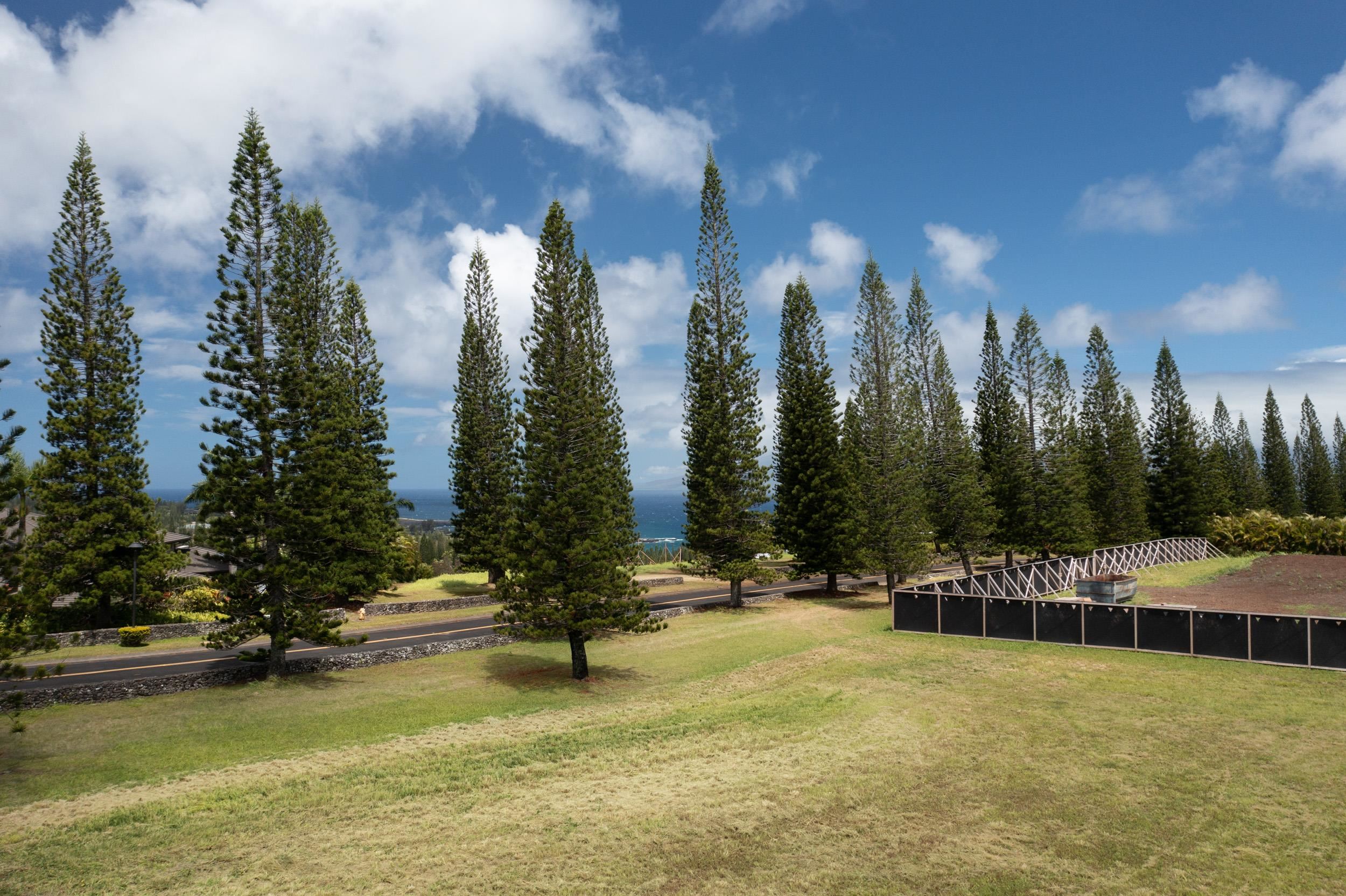 221 Plantation Club Dr  Lahaina, Hi vacant land for sale - photo 4 of 35