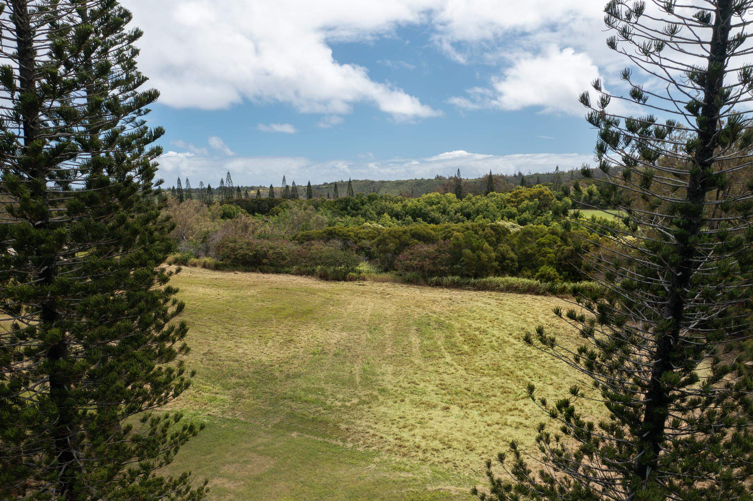 221 Plantation Club Dr  Lahaina, Hi vacant land for sale - photo 5 of 35