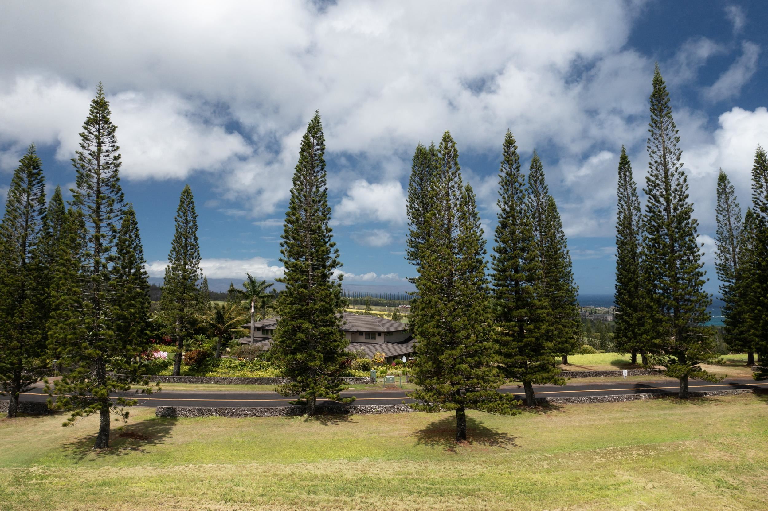 221 Plantation Club Dr  Lahaina, Hi vacant land for sale - photo 6 of 35