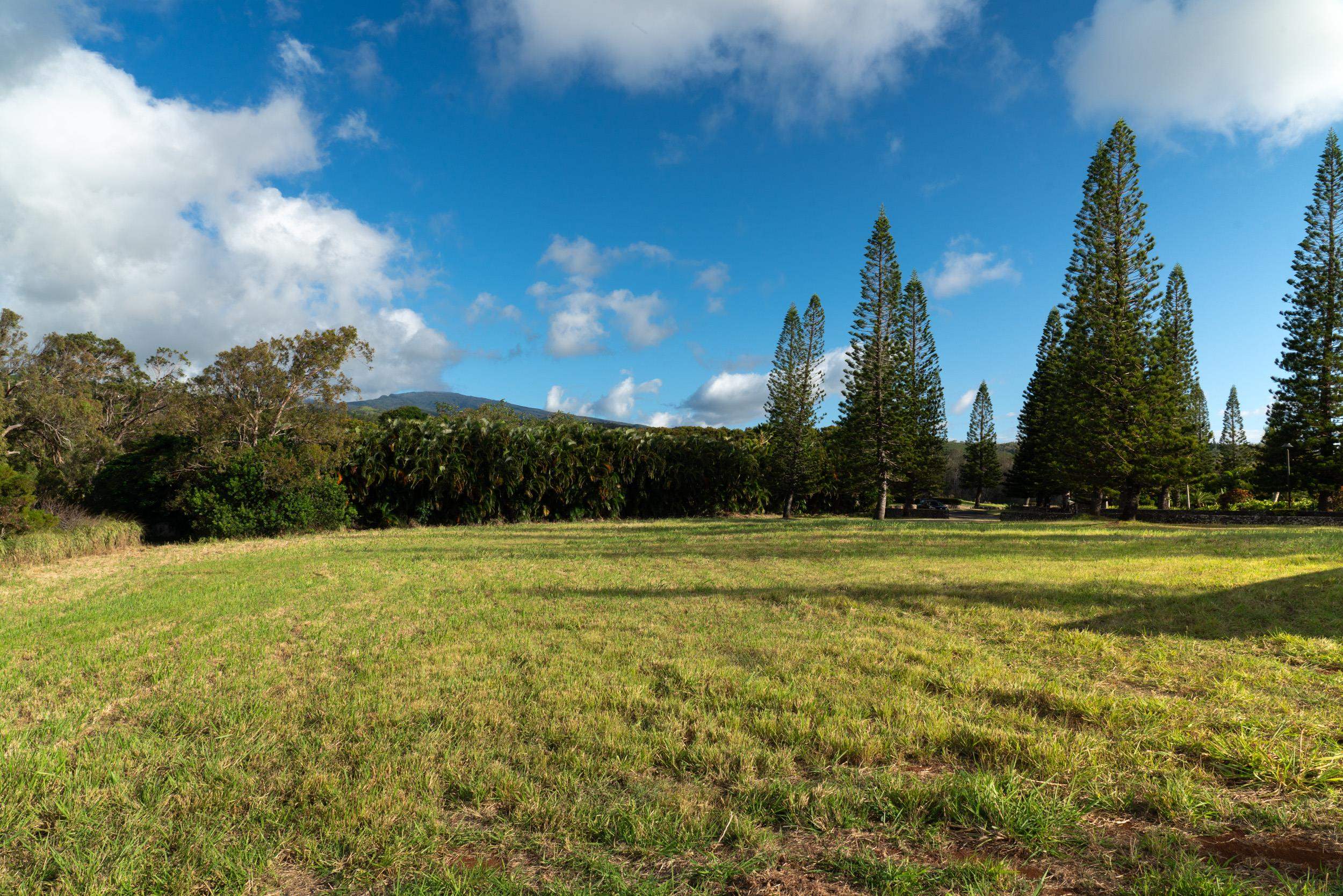 221 Plantation Club Dr  Lahaina, Hi vacant land for sale - photo 9 of 35