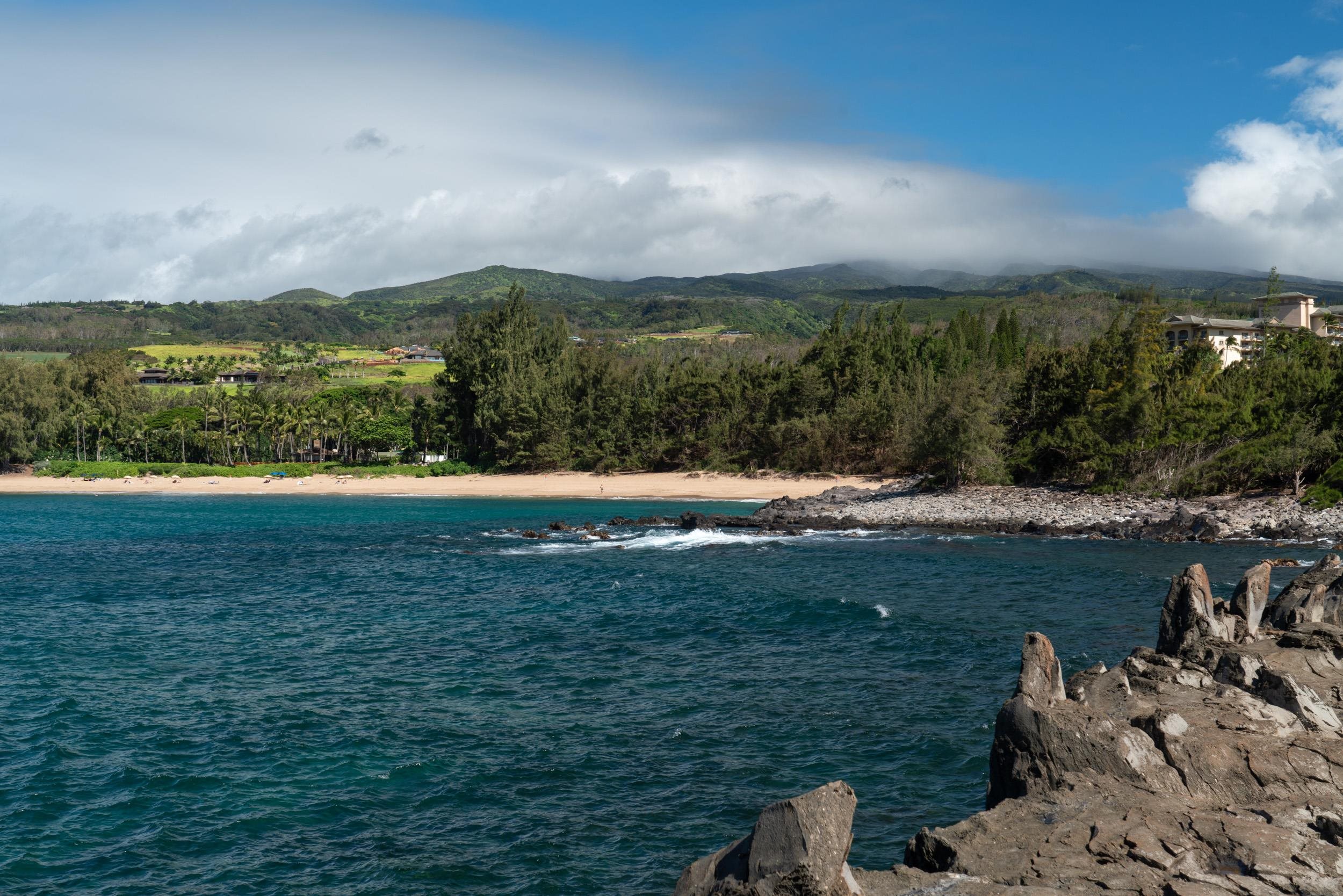 221 Plantation Club Dr Kapalua  - photo 12 of 28