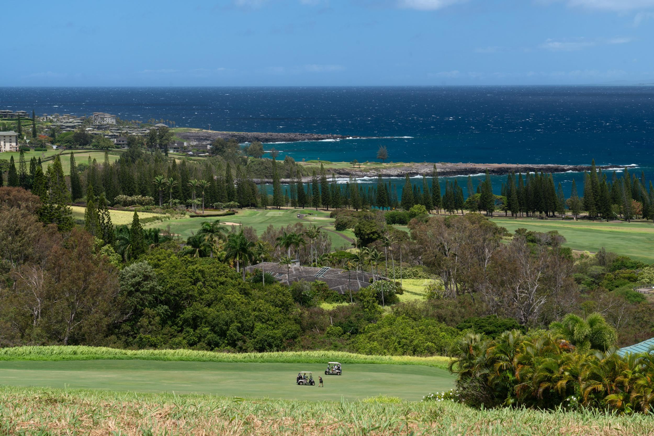 221 Plantation Club Dr Kapalua  - photo 13 of 28