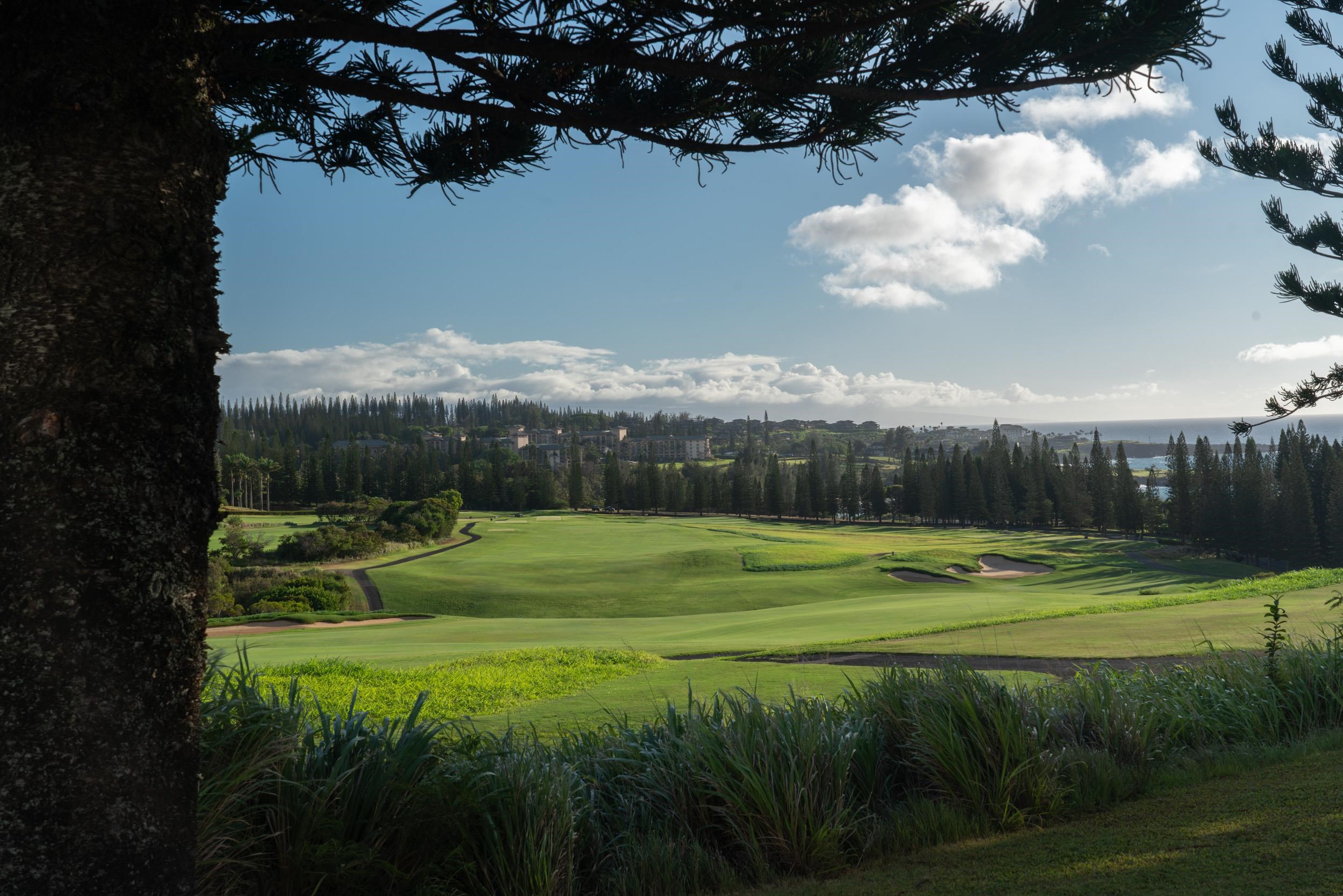 221 Plantation Club Dr Kapalua  - photo 15 of 28