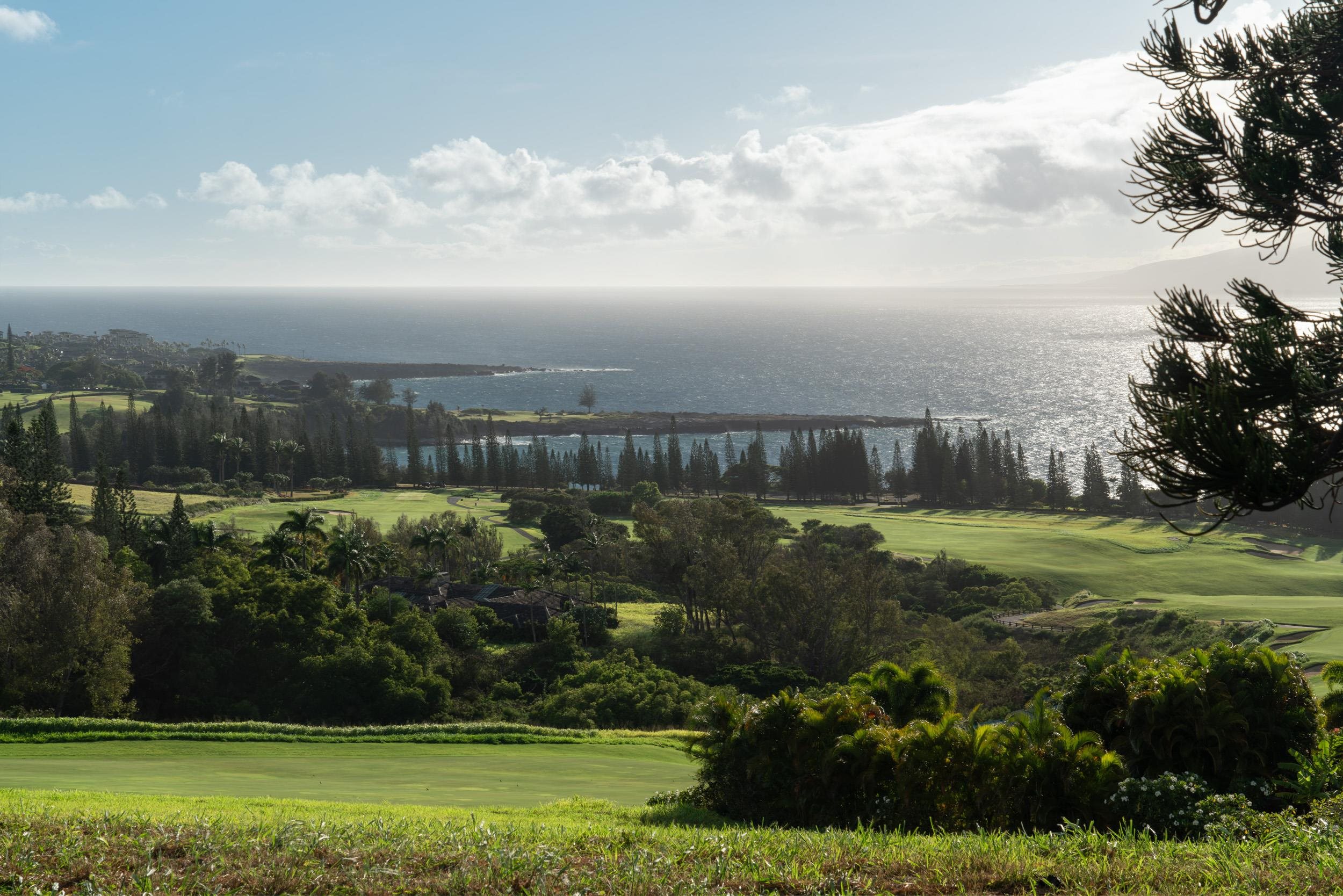 221 Plantation Club Dr Kapalua  - photo 16 of 28