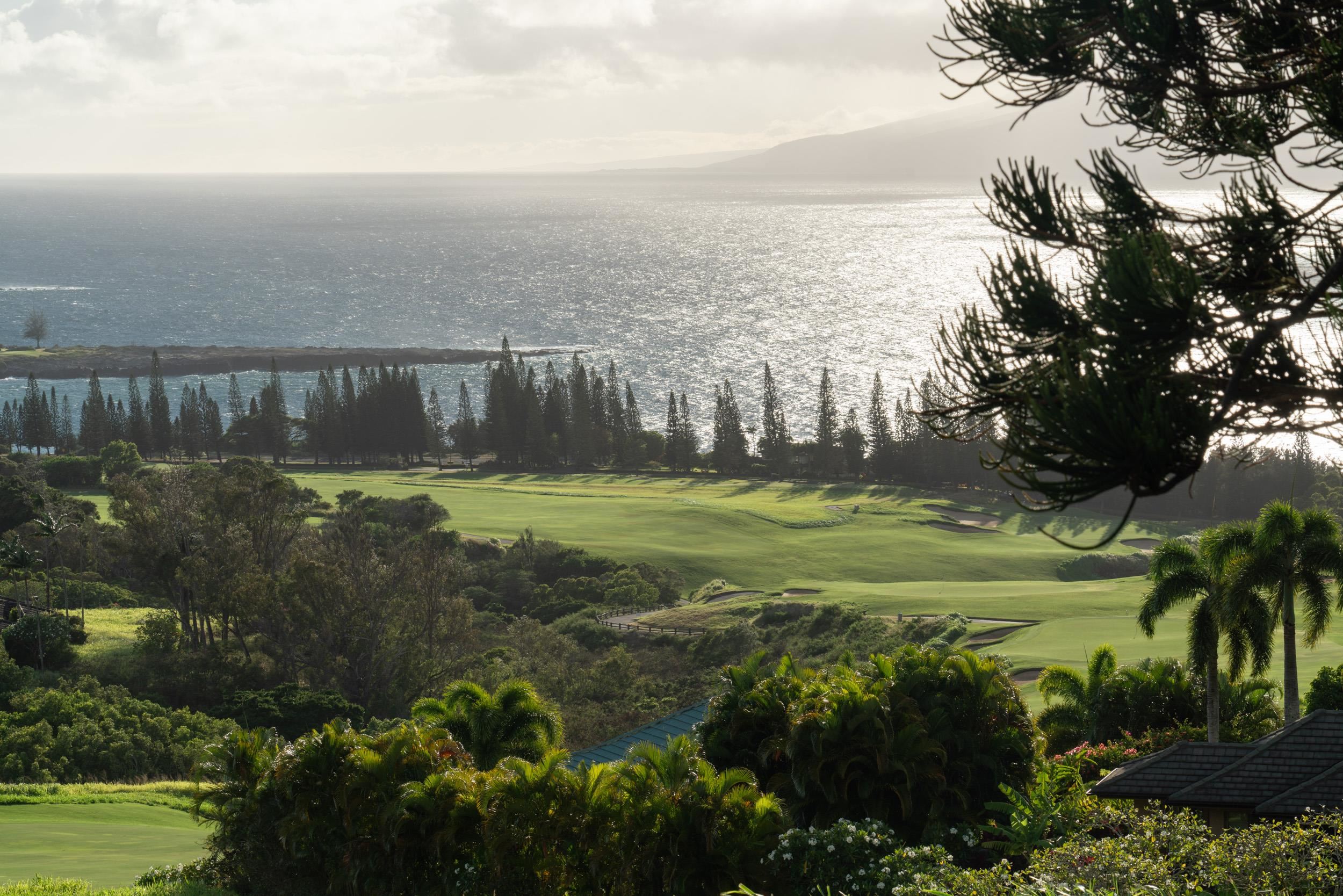 221 Plantation Club Dr Kapalua  - photo 17 of 28