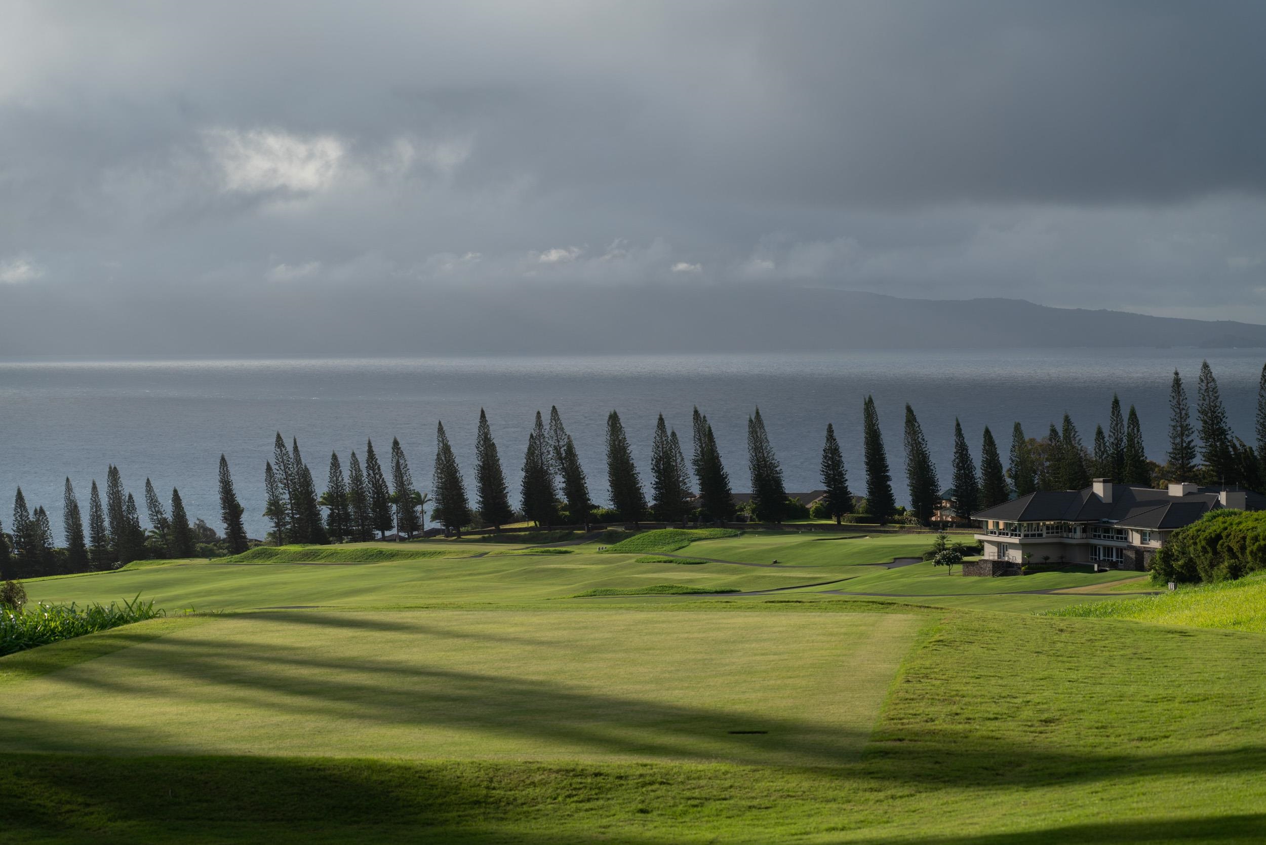 221 Plantation Club Dr Kapalua  - photo 20 of 28