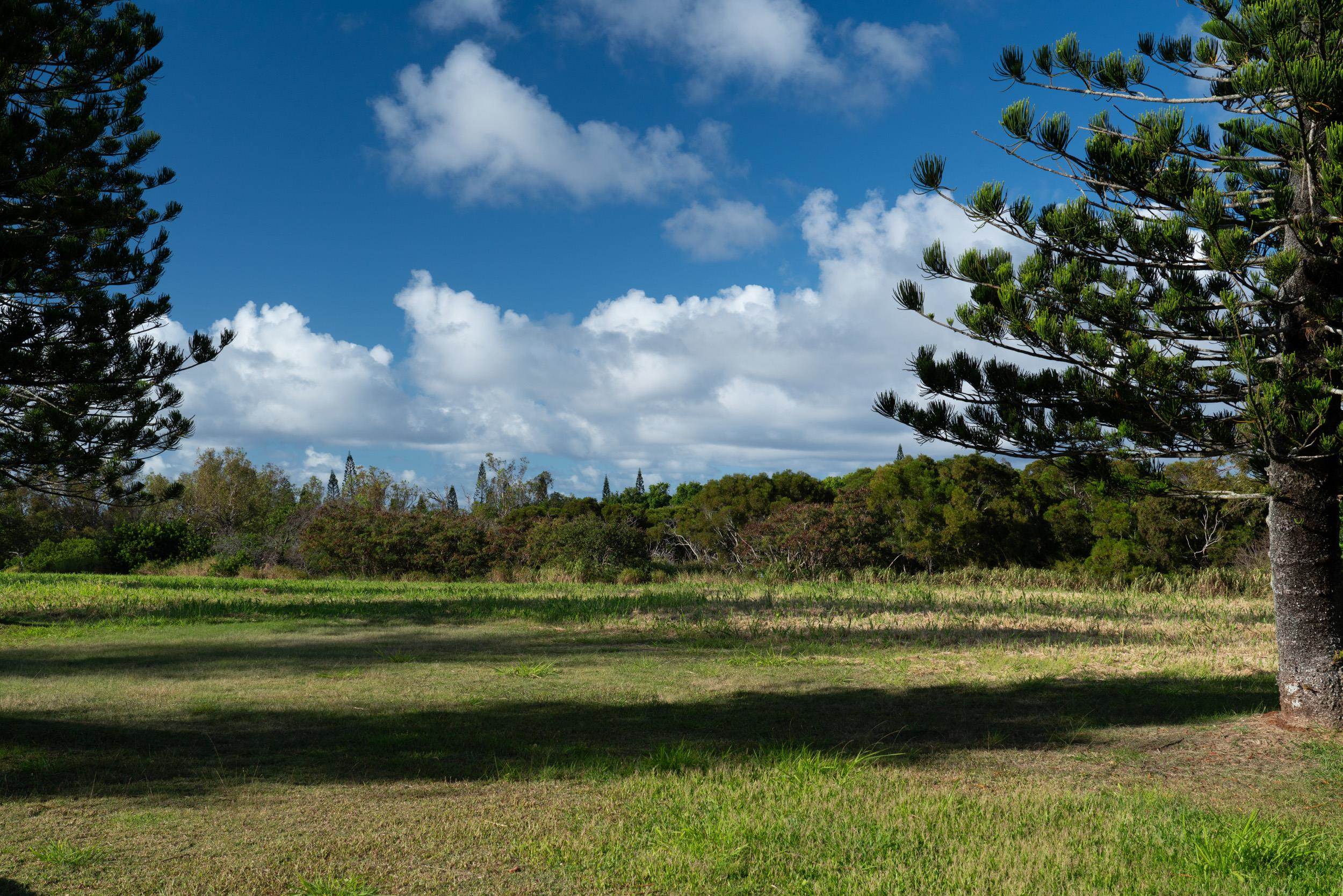 221 Plantation Club Dr Kapalua  - photo 24 of 28