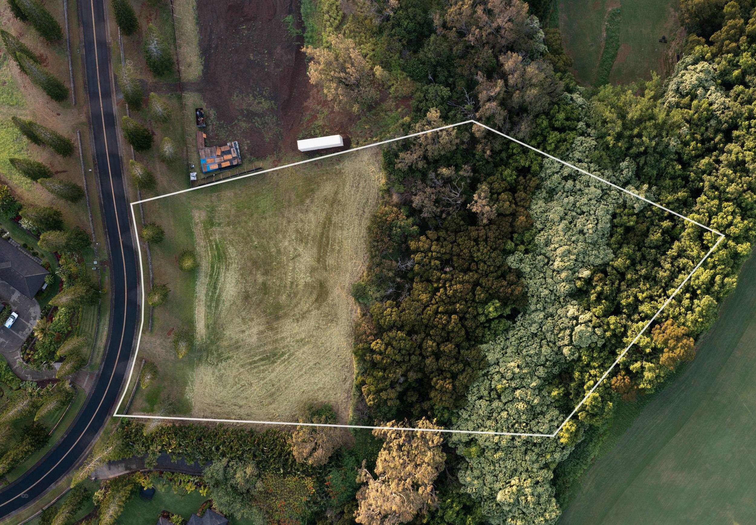 221 Plantation Club Dr Kapalua  - photo 4 of 28