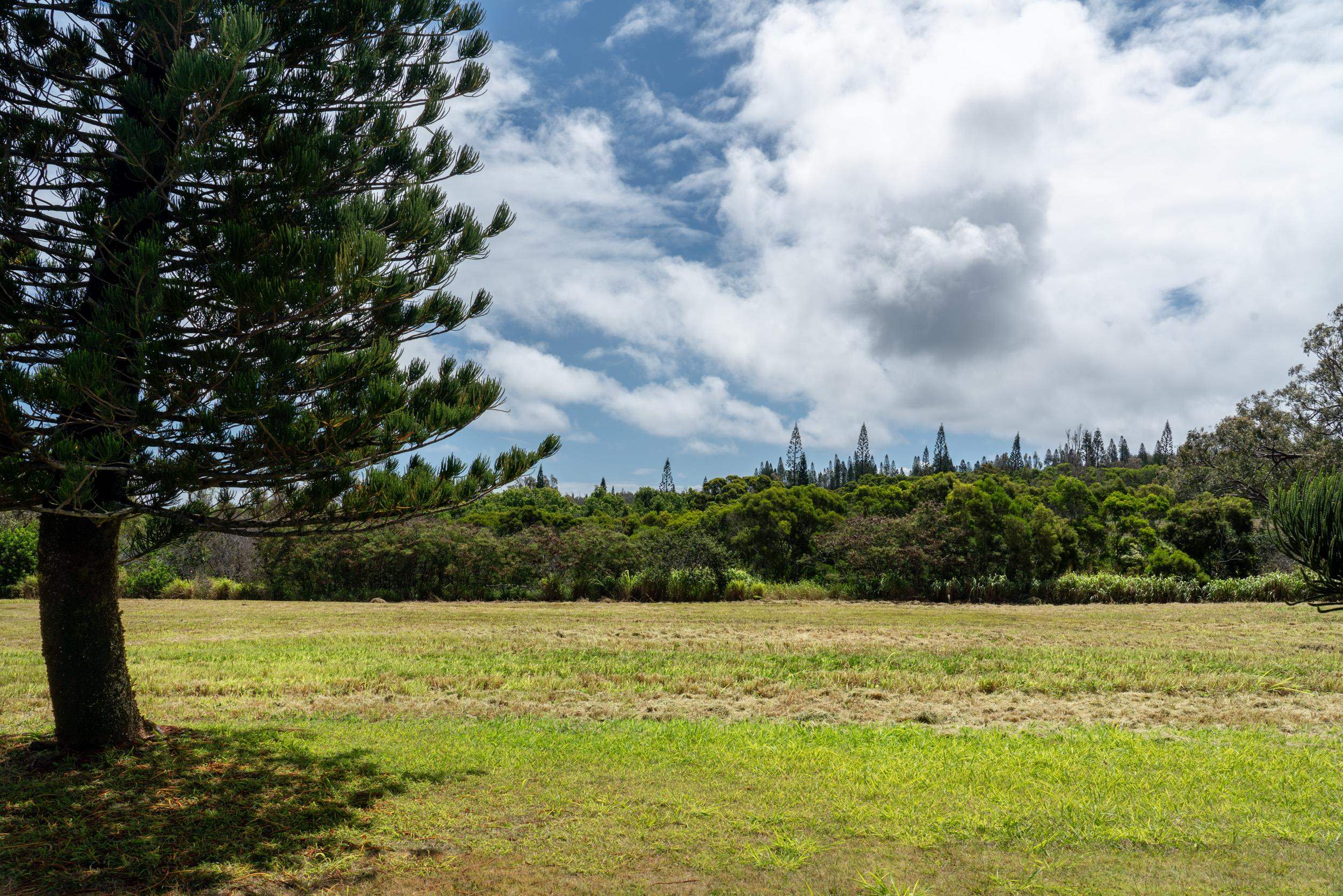 221 Plantation Club Dr Kapalua  - photo 5 of 28