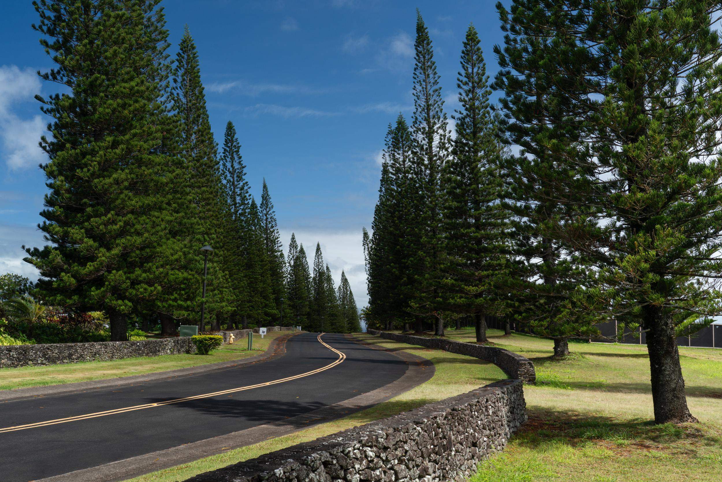 221 Plantation Club Dr Kapalua  - photo 6 of 28