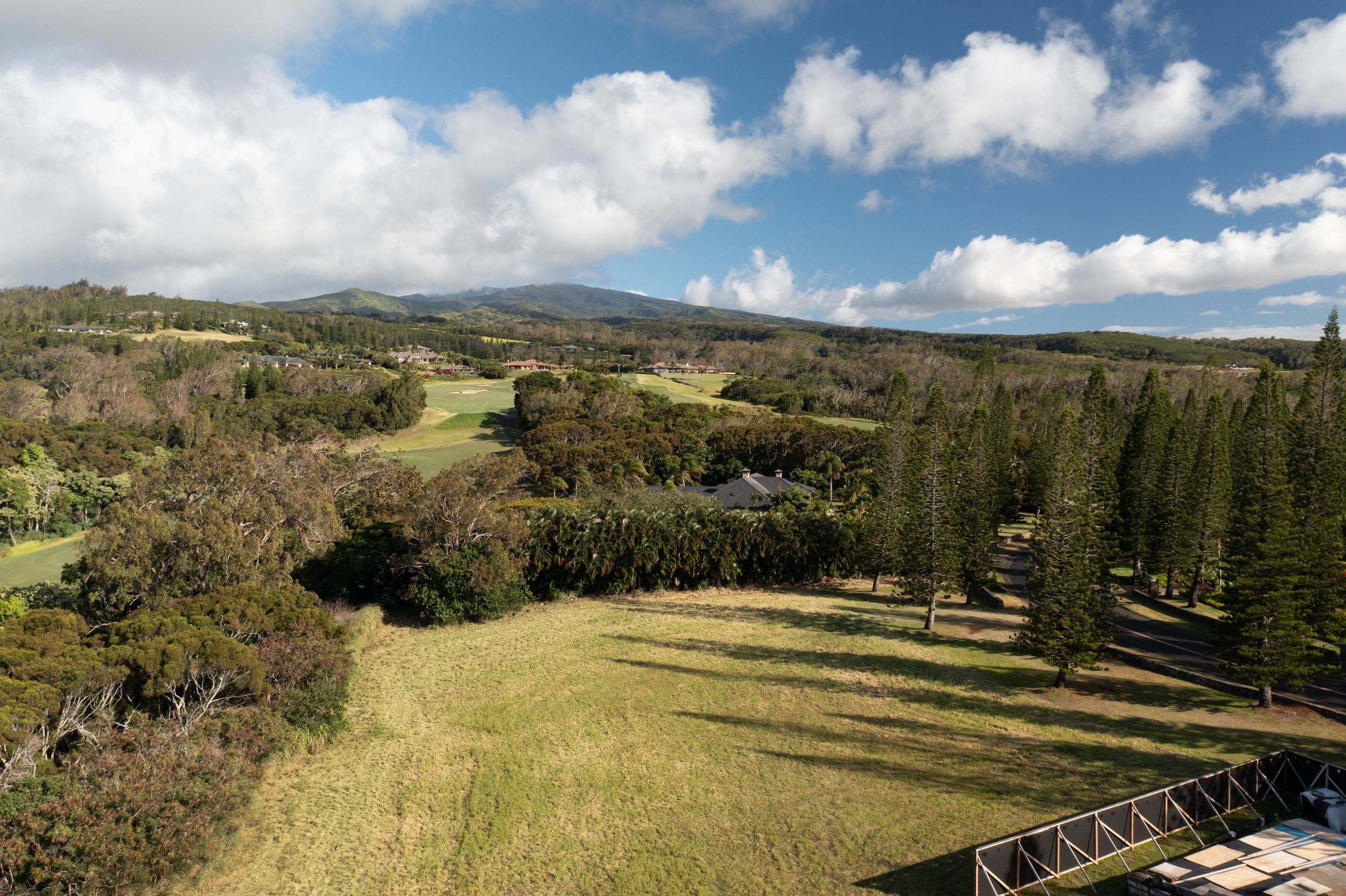 221 Plantation Club Dr Kapalua  - photo 8 of 28