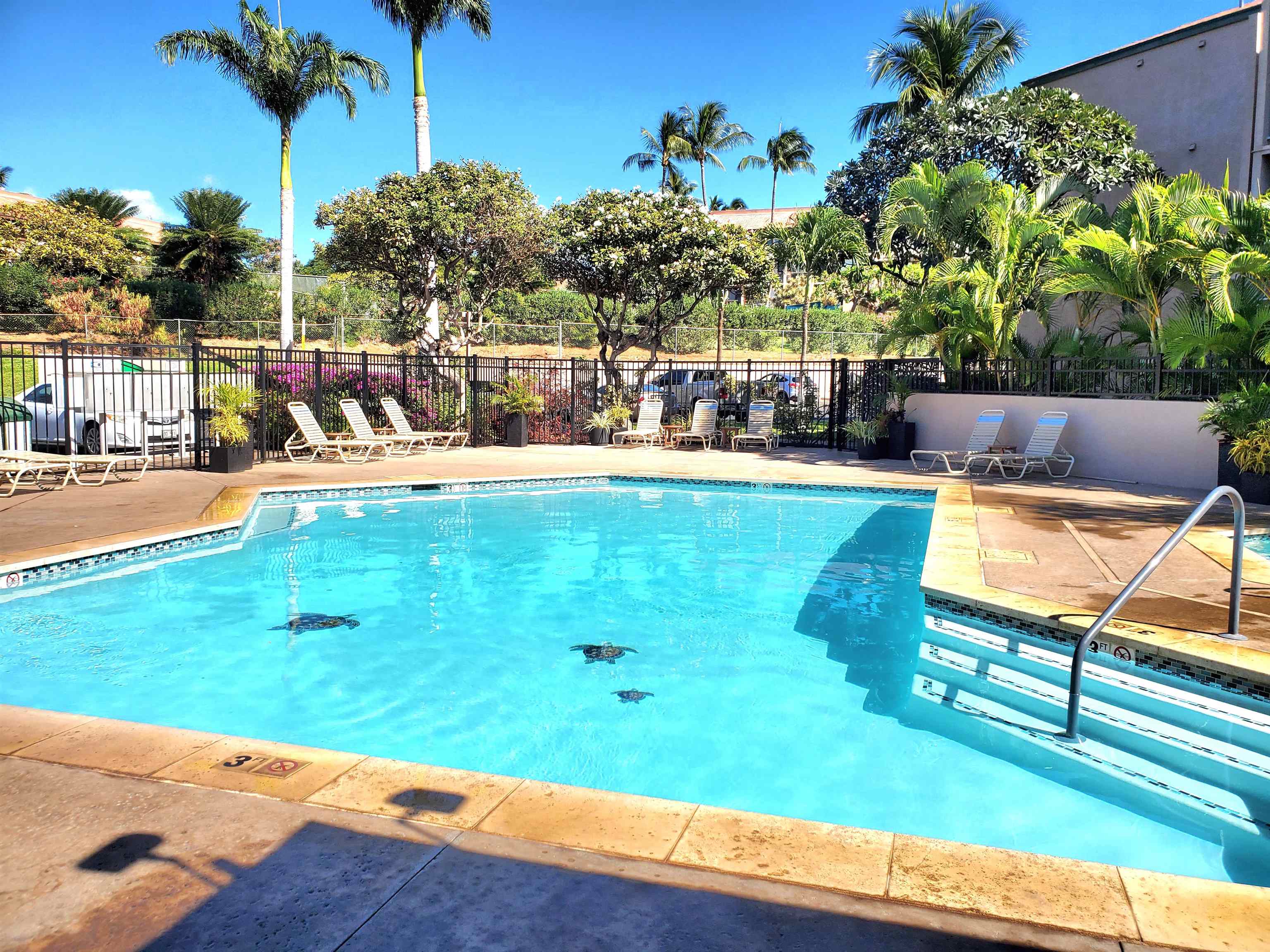 Pacific Shores condo # B313, Kihei, Hawaii - photo 12 of 37