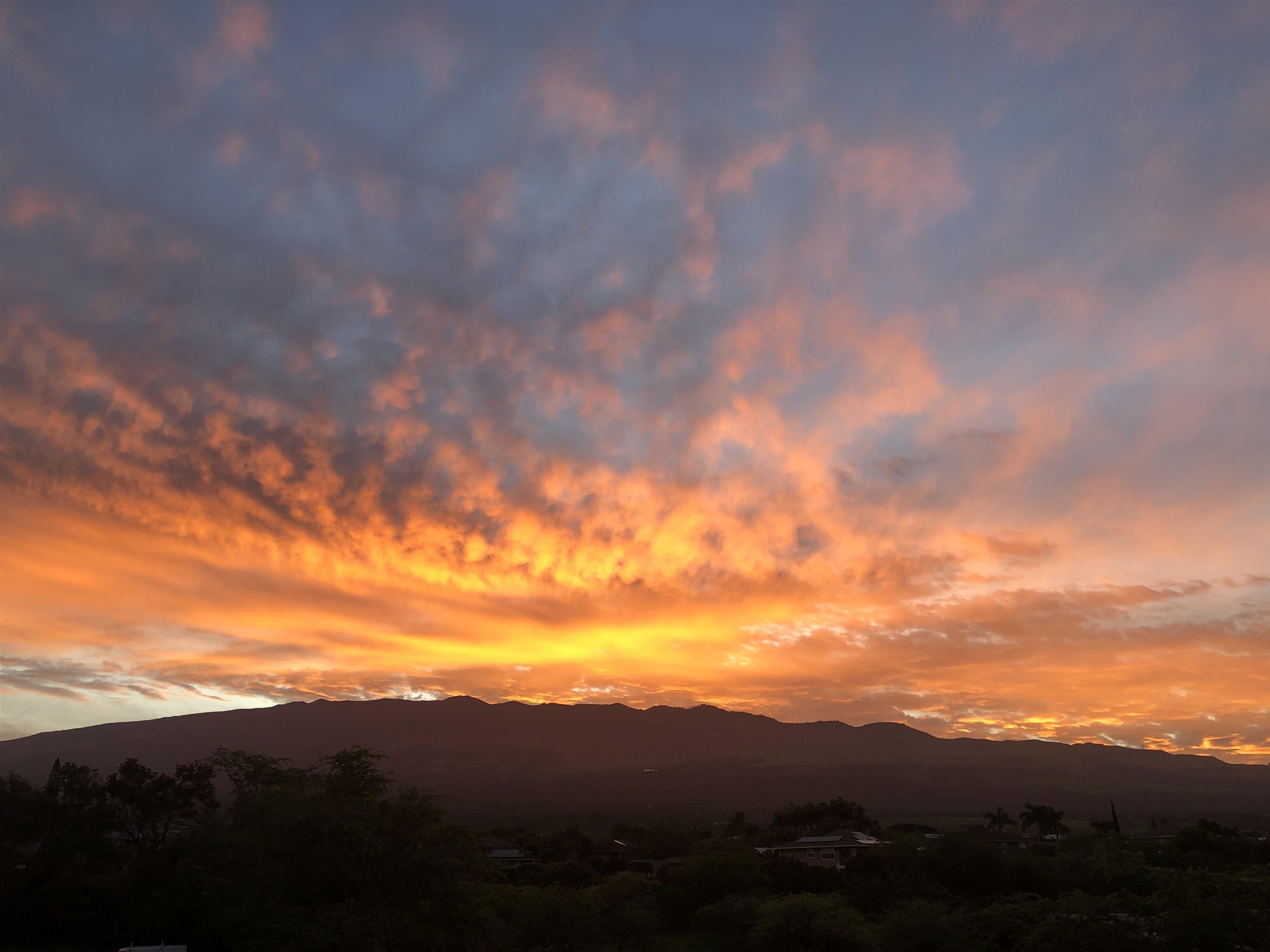 Pacific Shores condo # B414, Kihei, Hawaii - photo 26 of 27