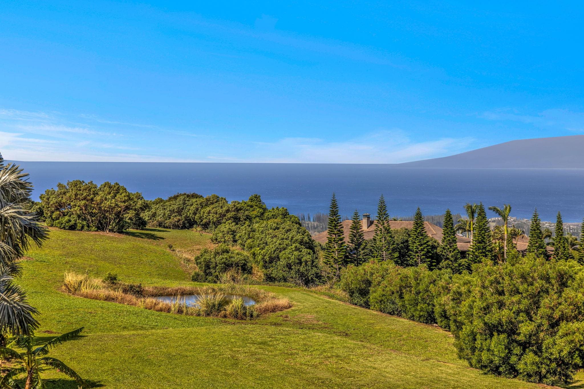 222  Ke'oawa St Plantation Estates, Kapalua home - photo 47 of 50