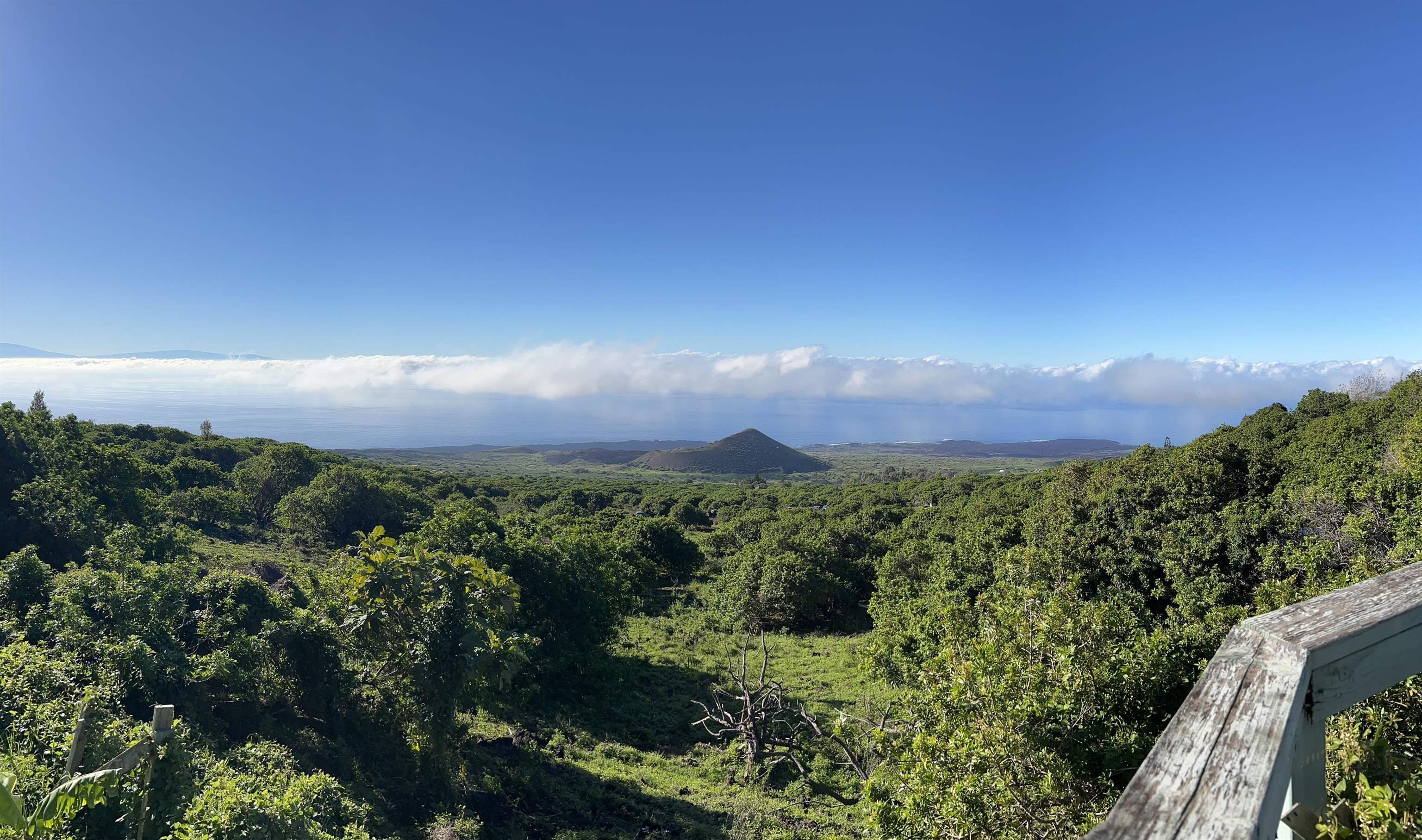 2225 Upper Kanaio Rd  Kula, Hi vacant land for sale - photo 2 of 3