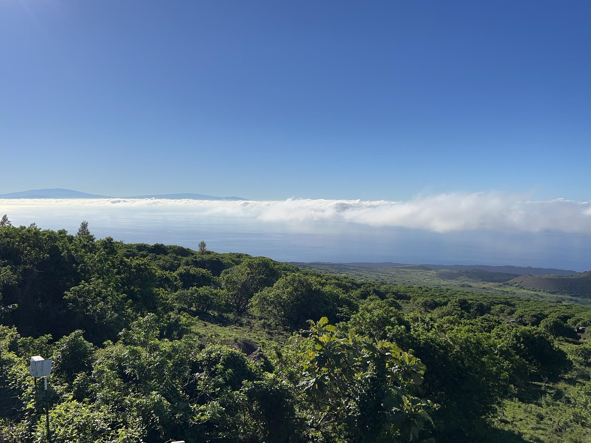 2225 Upper Kanaio Rd  Kula, Hi vacant land for sale - photo 3 of 3